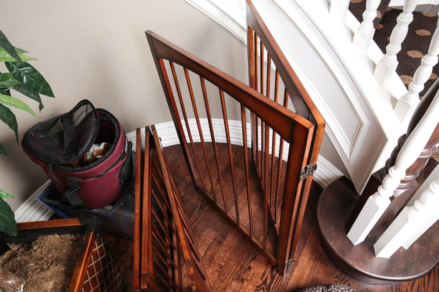 Assortment of Pet Care Items, Including Grooming Supplies