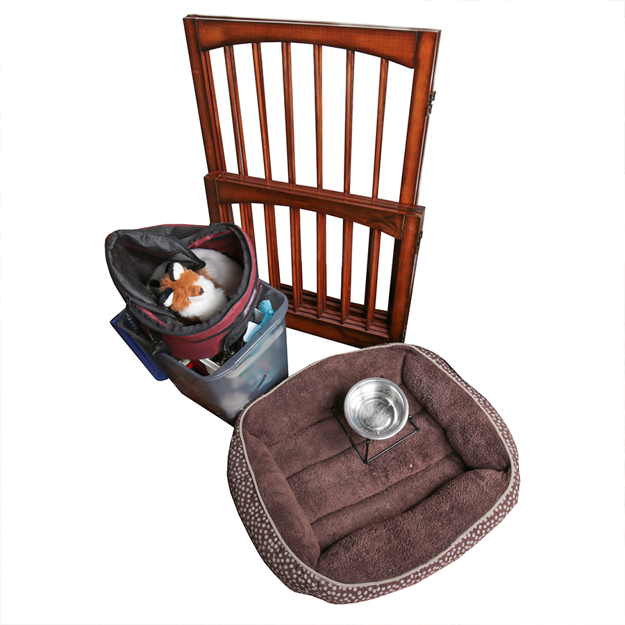 Assortment of Pet Care Items, Including Grooming Supplies