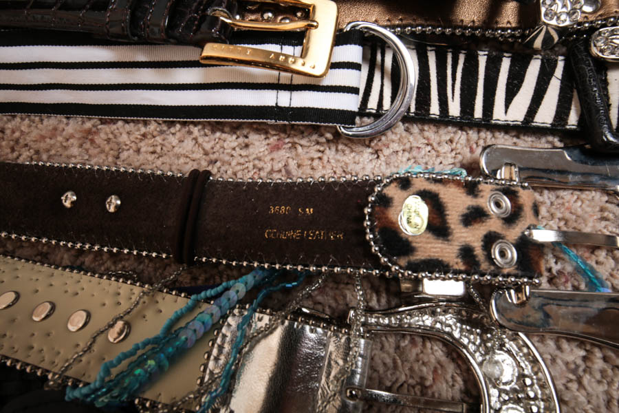 Generous Assortment of Women's Accessories