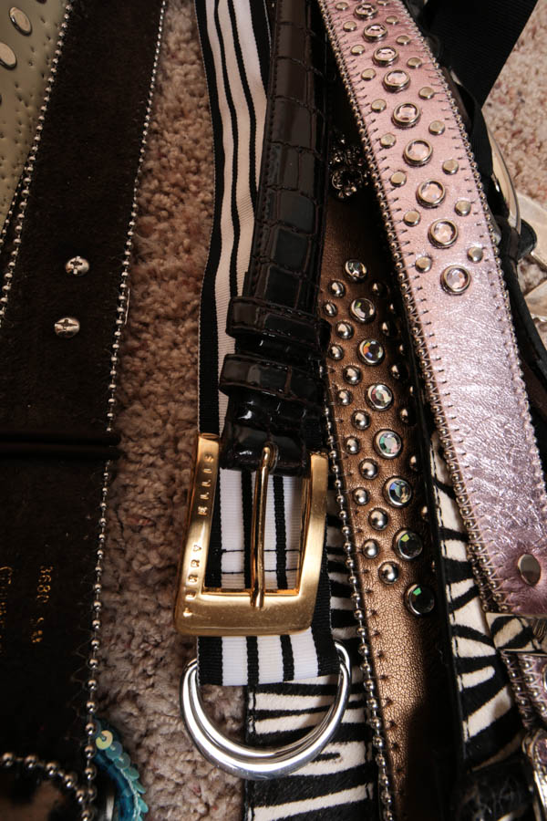 Generous Assortment of Women's Accessories