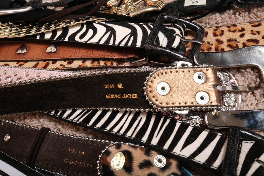 Generous Assortment of Women's Accessories