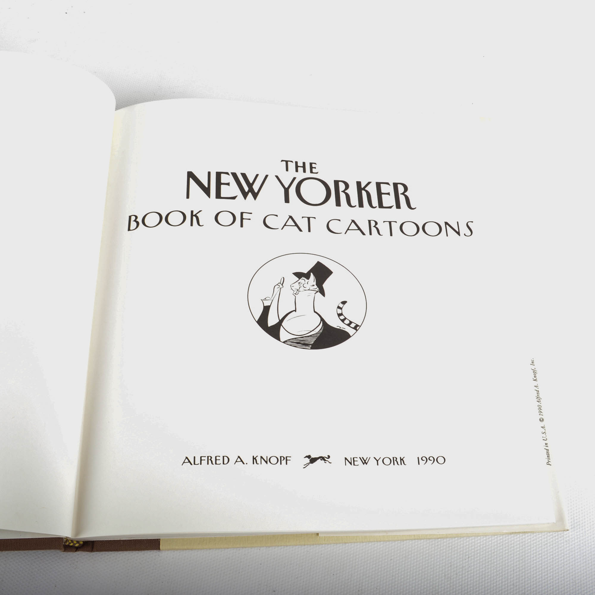 Carved Cat and Mouse Sculptures and Cat-Themed Books