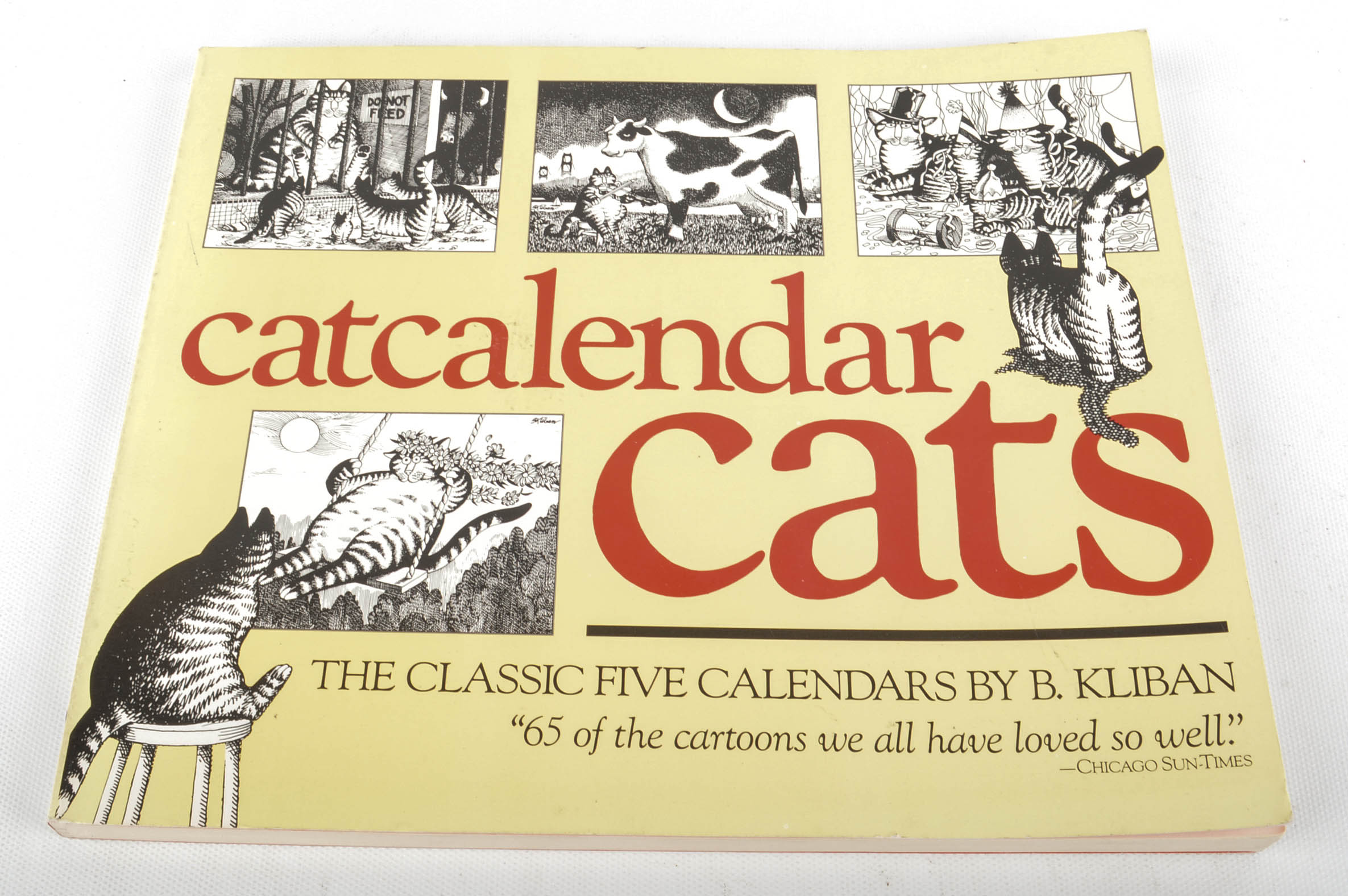 Carved Cat and Mouse Sculptures and Cat-Themed Books