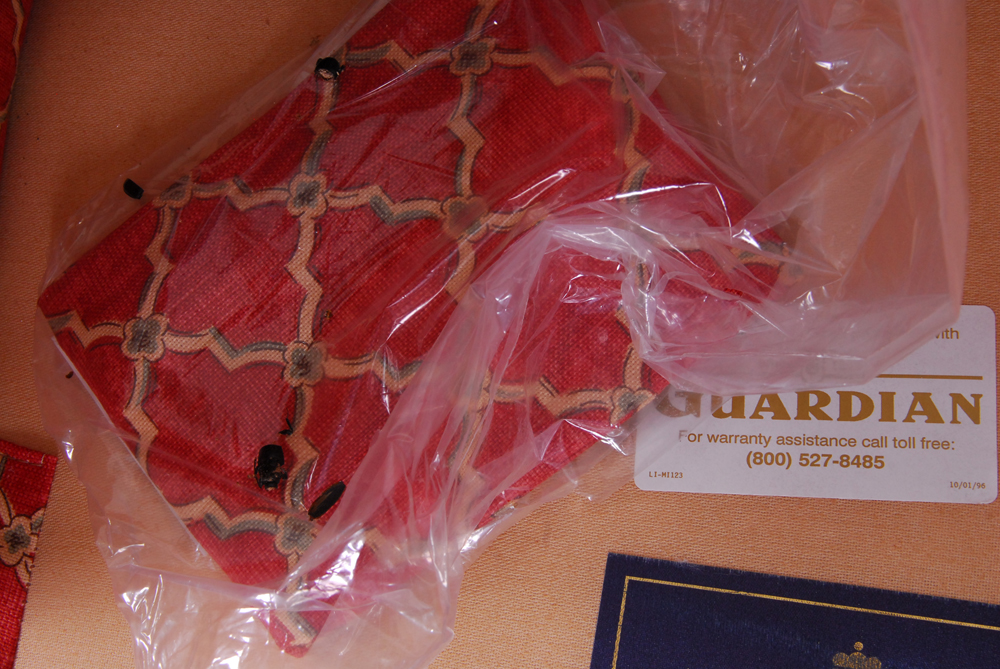 King Hickory Red-Upholstered Armchair and Ottoman