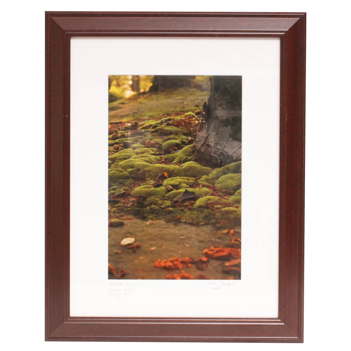 Steve Newport "Untitled 12" Photograph