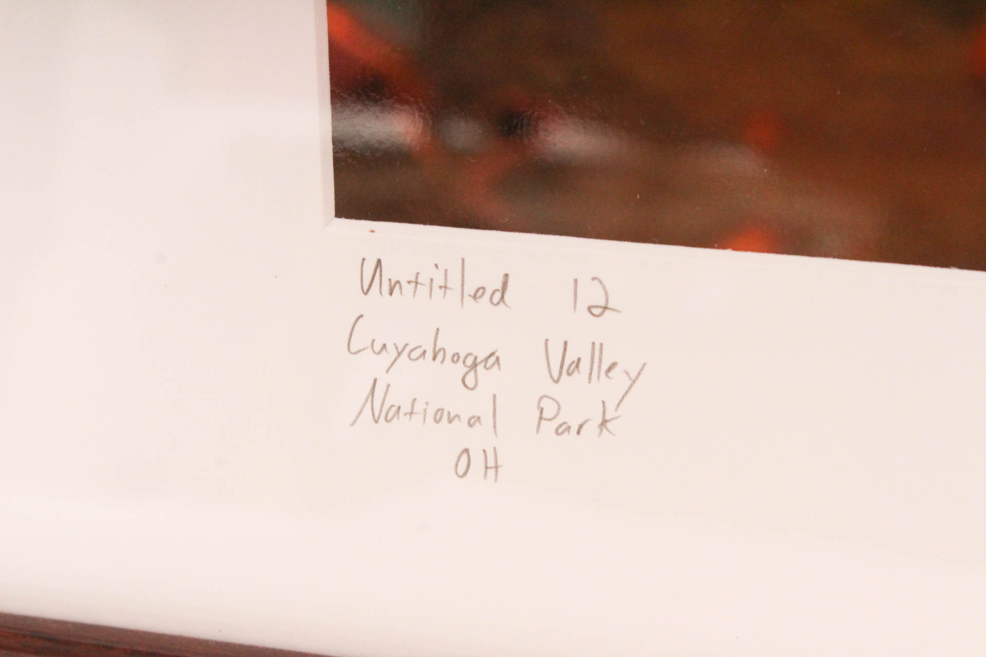 Steve Newport "Untitled 12" Photograph