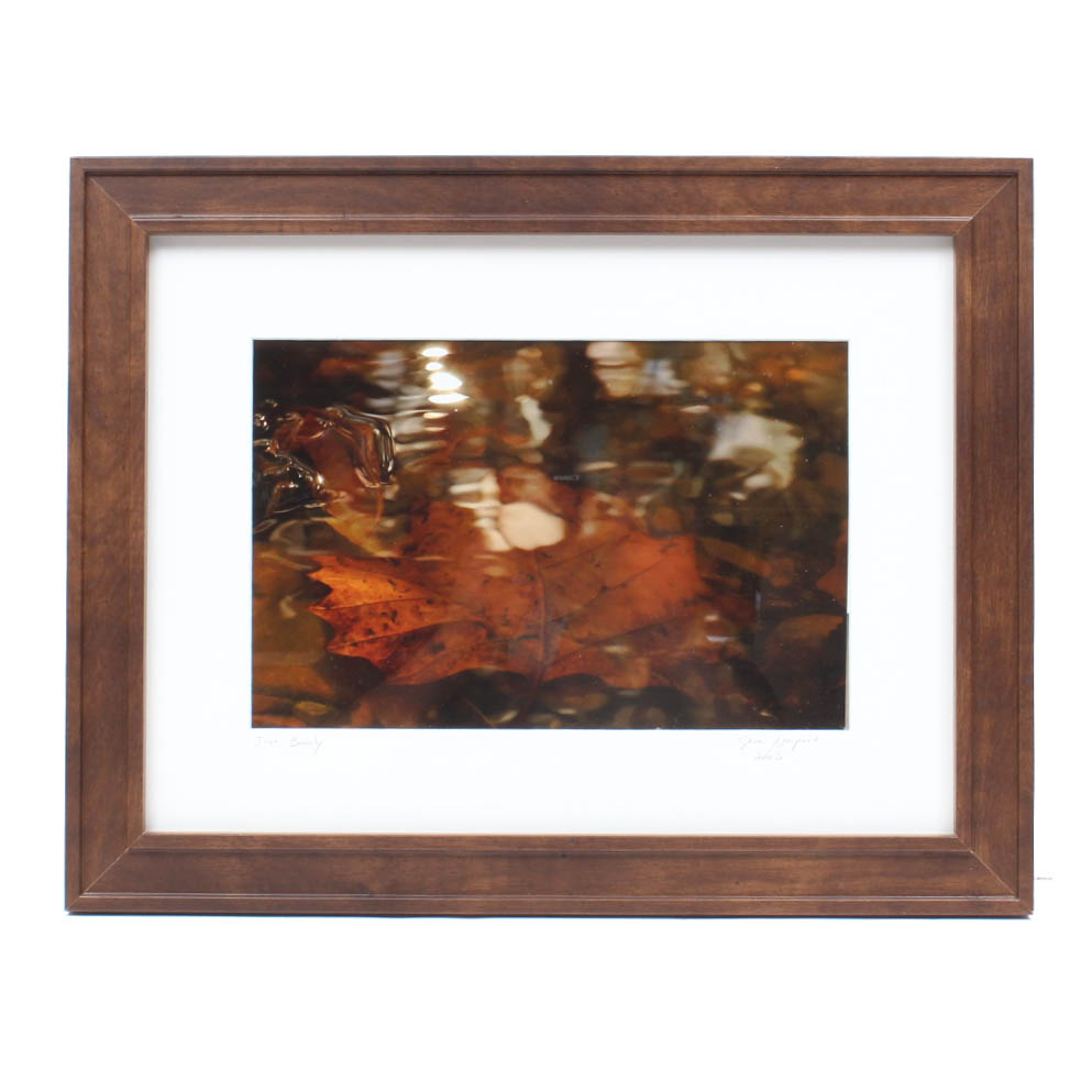 Steve Newport "Just Barely" Photograph