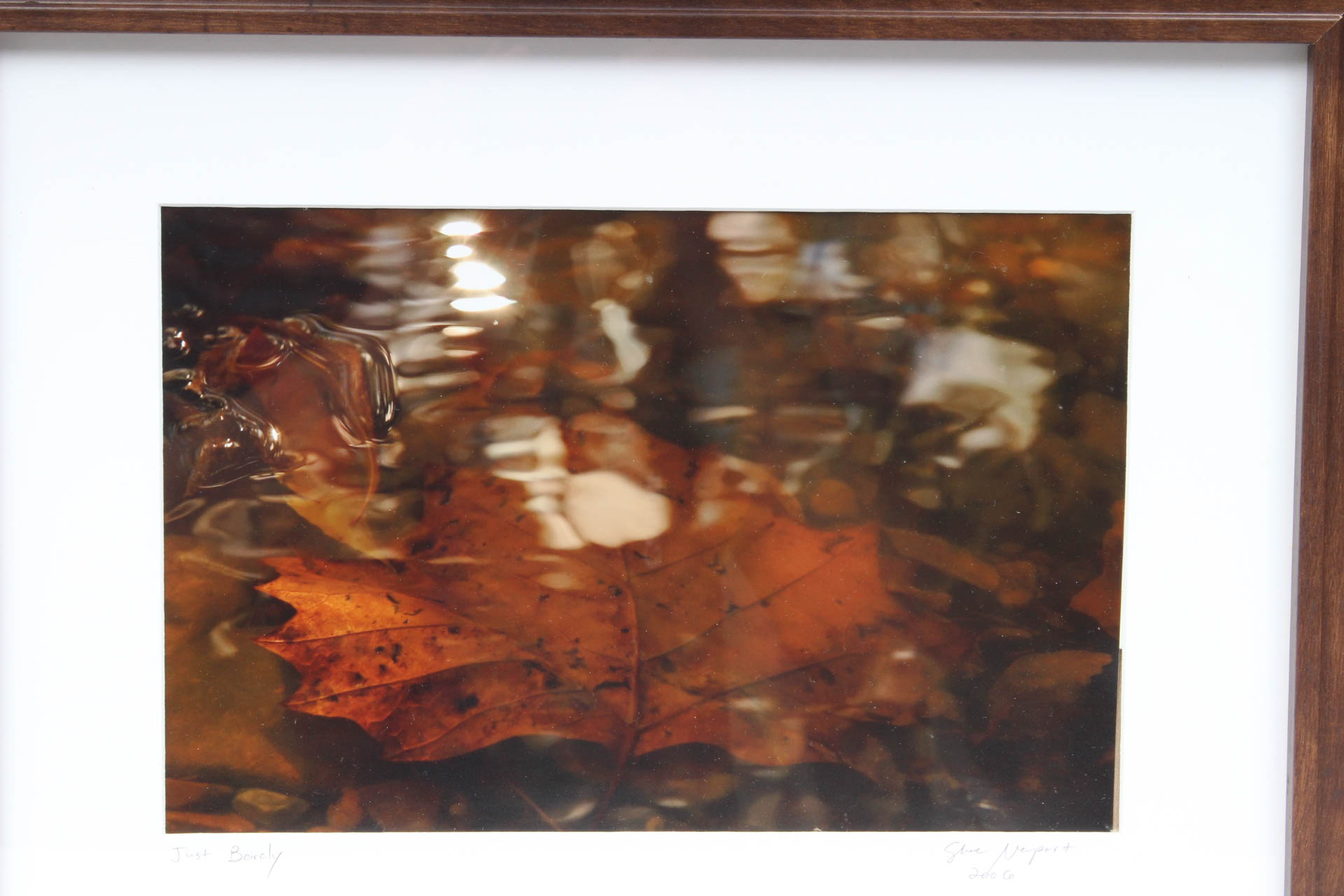 Steve Newport "Just Barely" Photograph