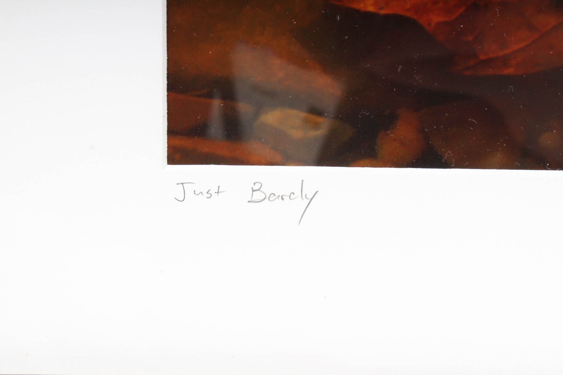 Steve Newport "Just Barely" Photograph