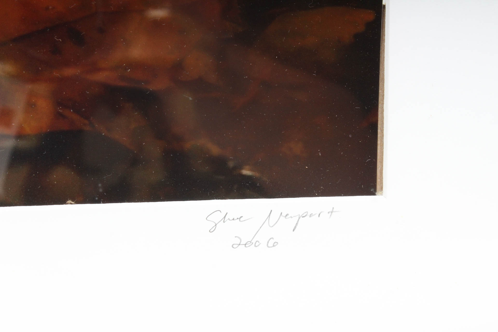 Steve Newport "Just Barely" Photograph