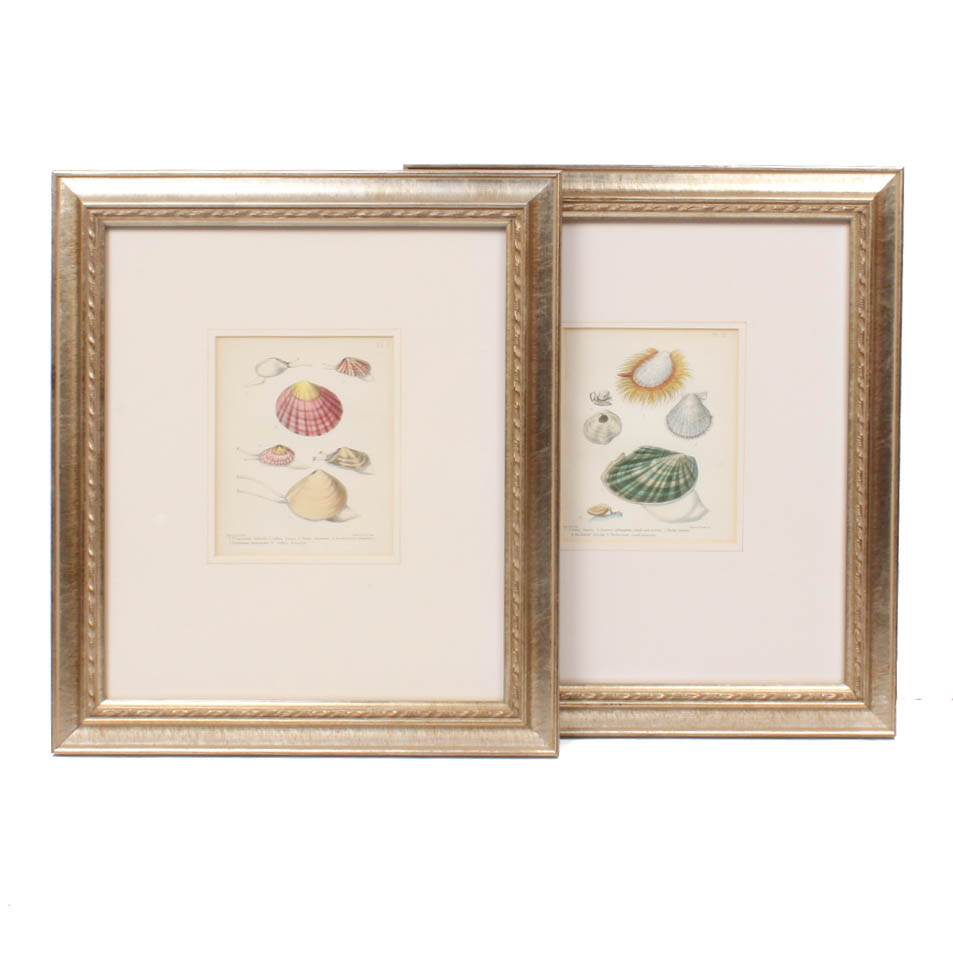 Pair of Vincent Brooks, Day & Son Nautical Lithographs