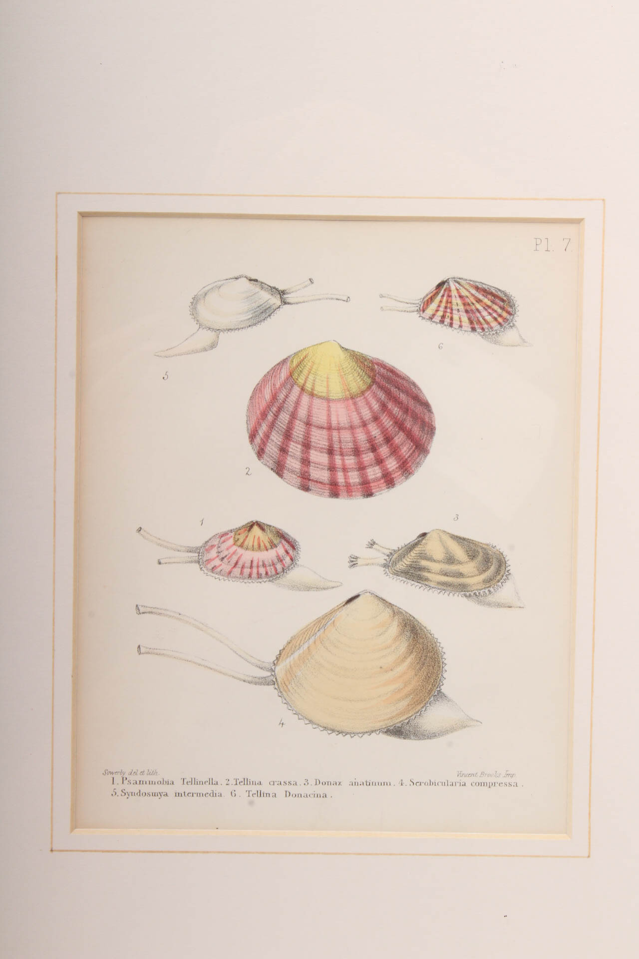 Pair of Vincent Brooks, Day & Son Nautical Lithographs