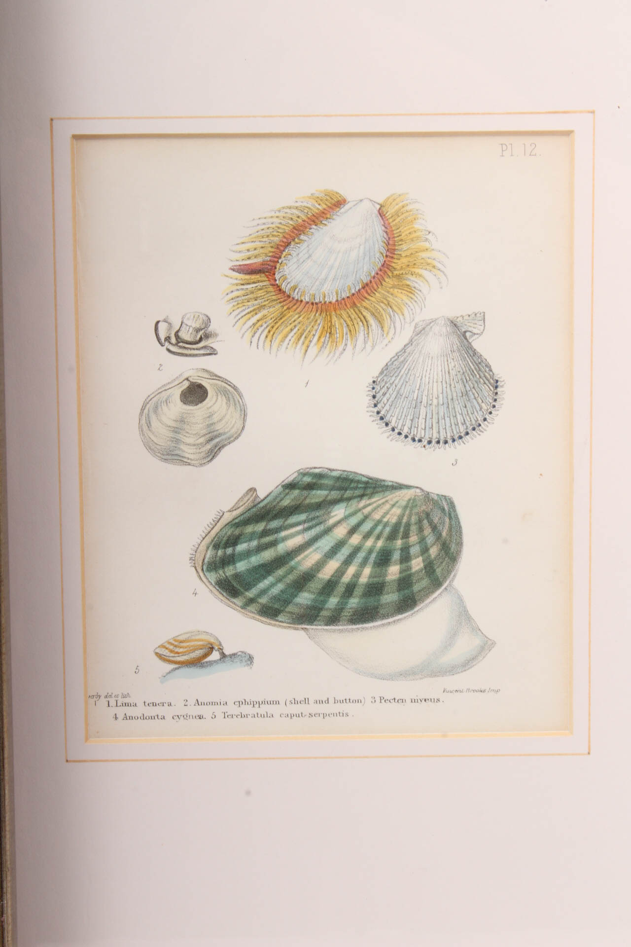 Pair of Vincent Brooks, Day & Son Nautical Lithographs