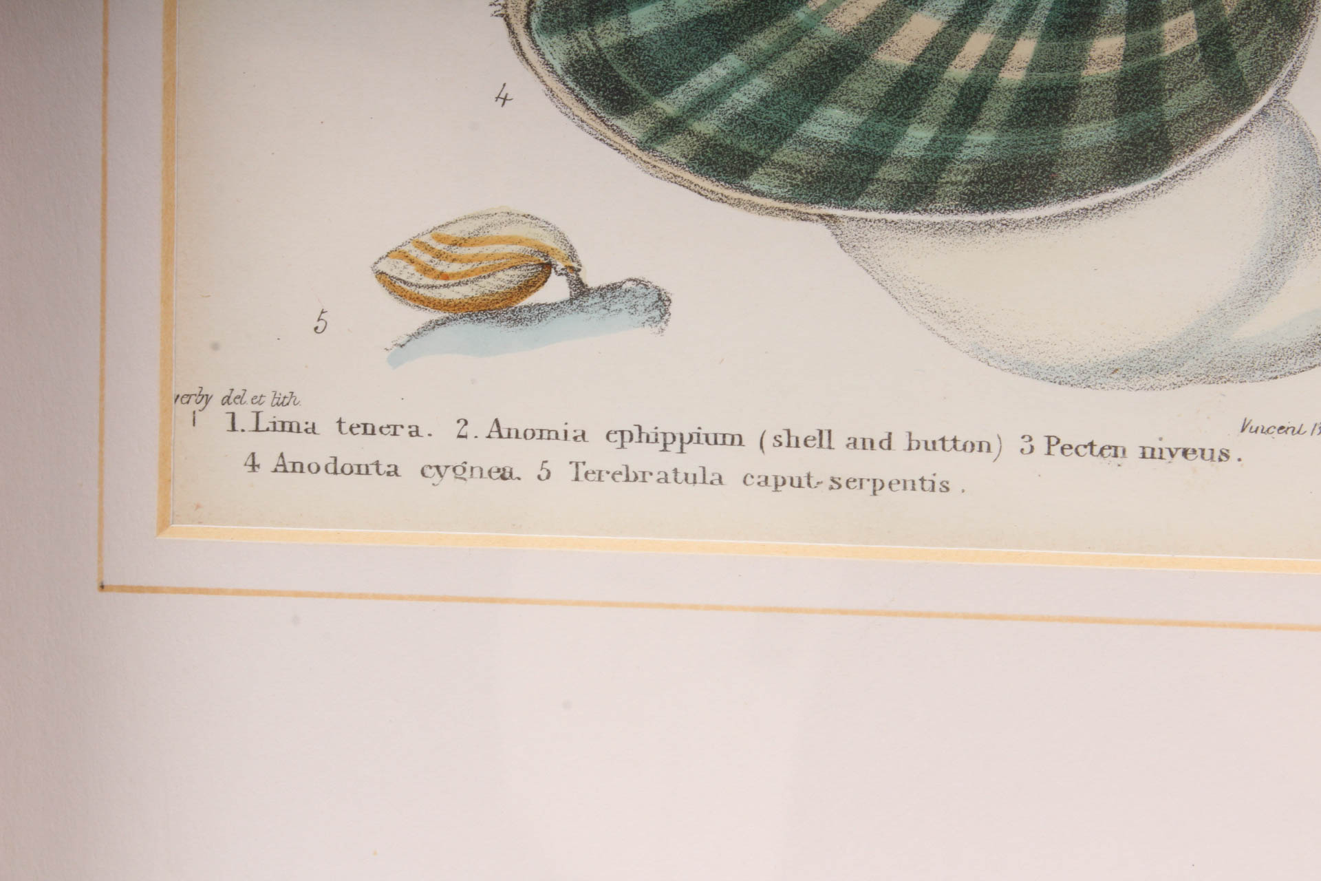 Pair of Vincent Brooks, Day & Son Nautical Lithographs