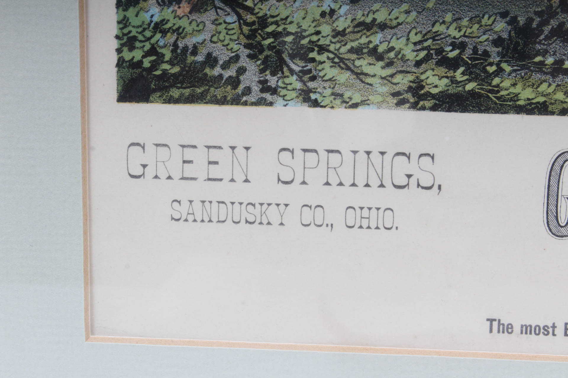 W.J. Morgan & Co. "Green Sulphur Spring Water Cure" Chromolithograph