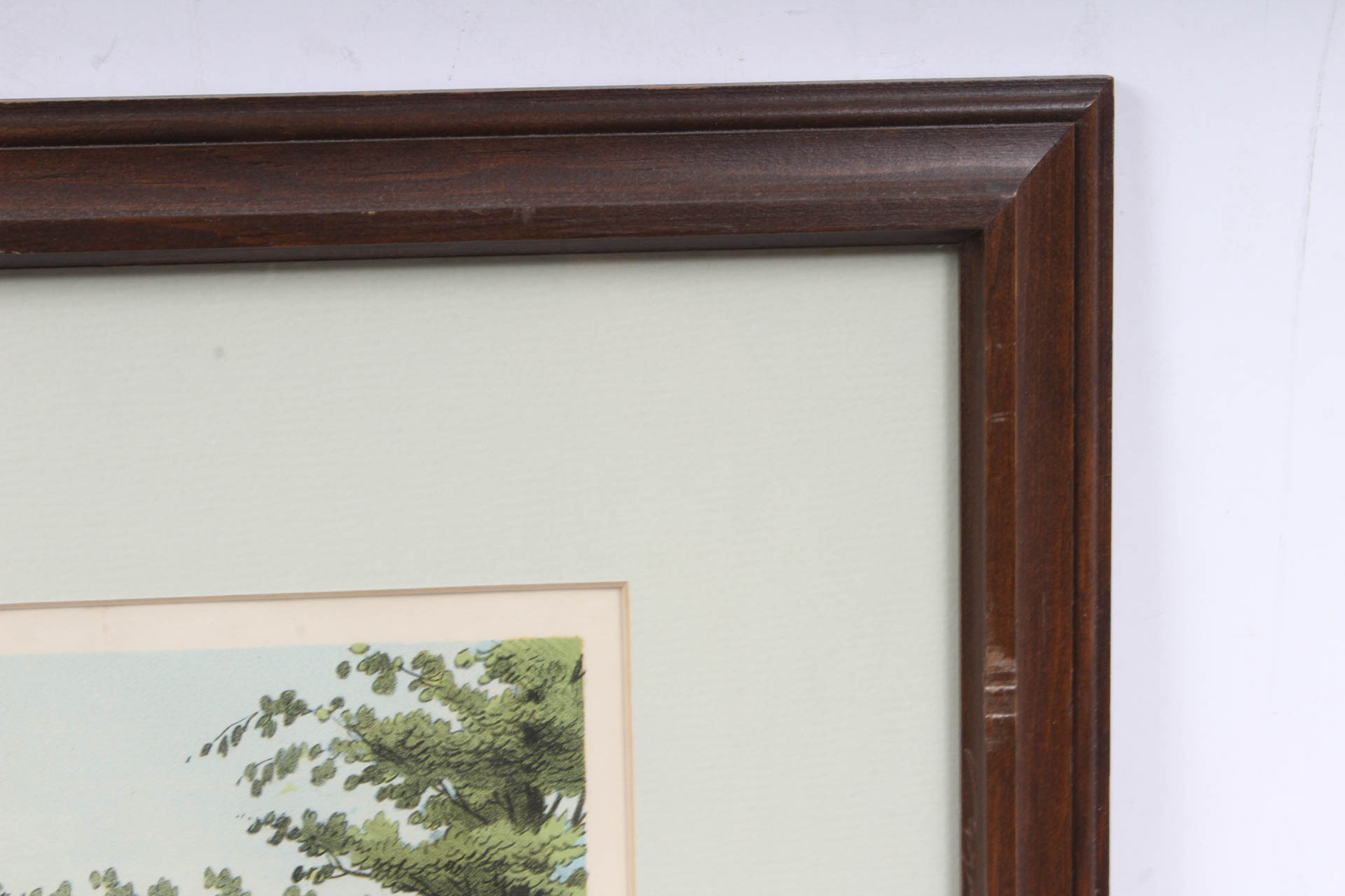 W.J. Morgan & Co. "Green Sulphur Spring Water Cure" Chromolithograph