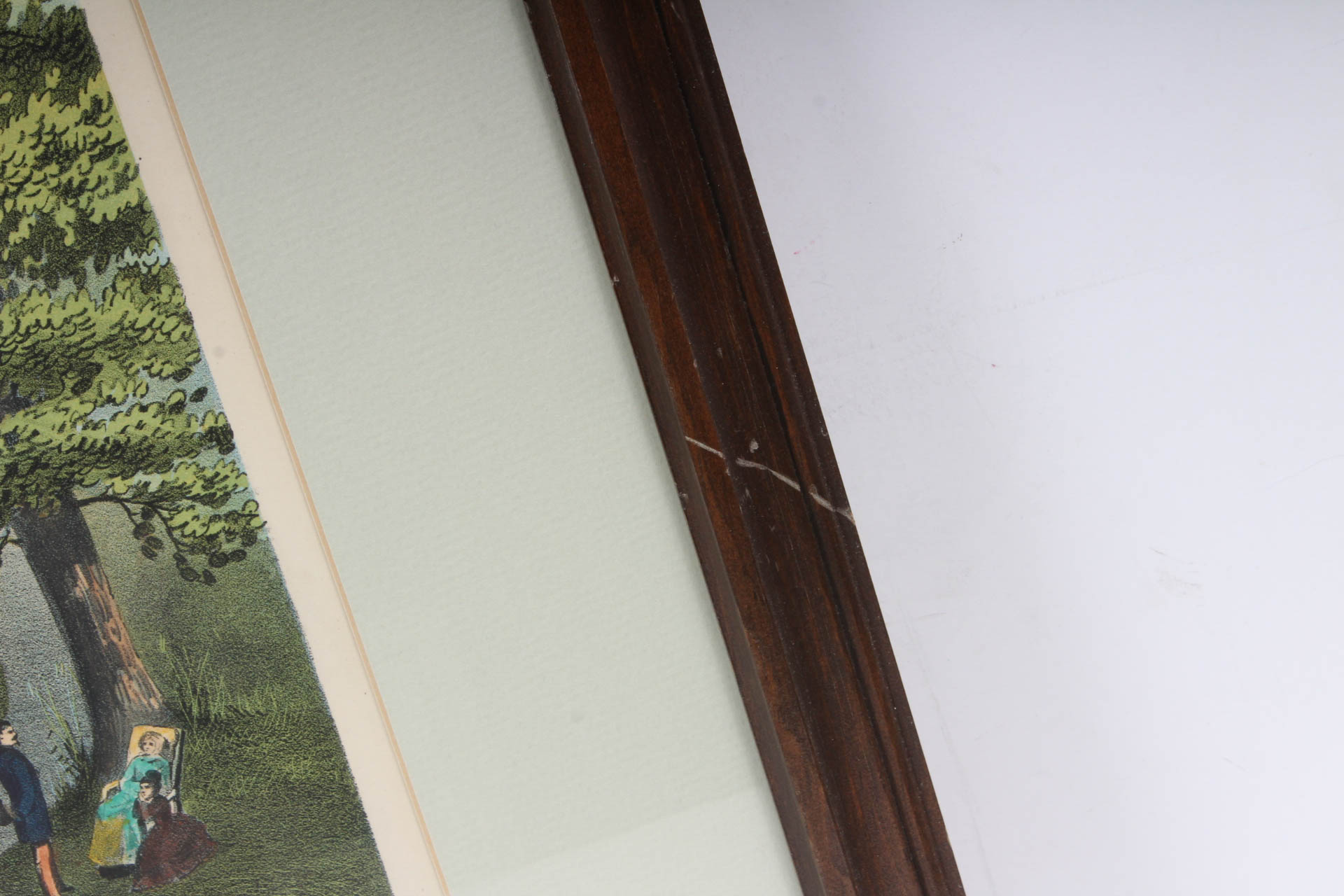 W.J. Morgan & Co. "Green Sulphur Spring Water Cure" Chromolithograph