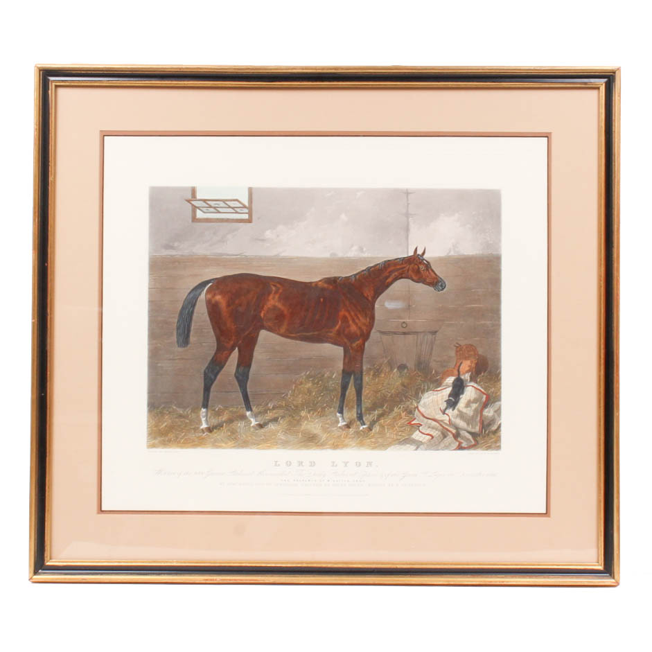 W. Summers Hand-Colored Engraving "Lord Lyon"