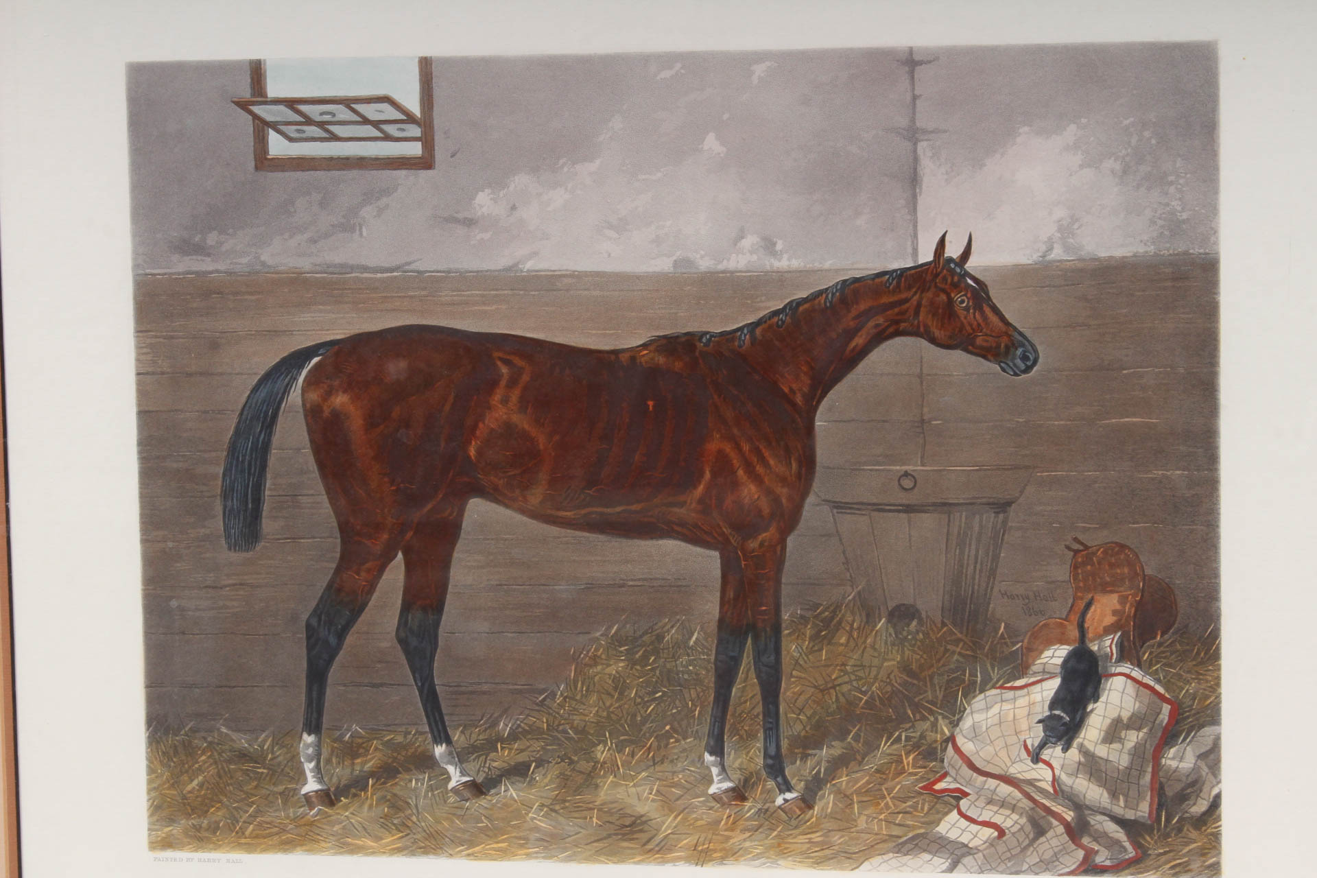 W. Summers Hand-Colored Engraving "Lord Lyon"