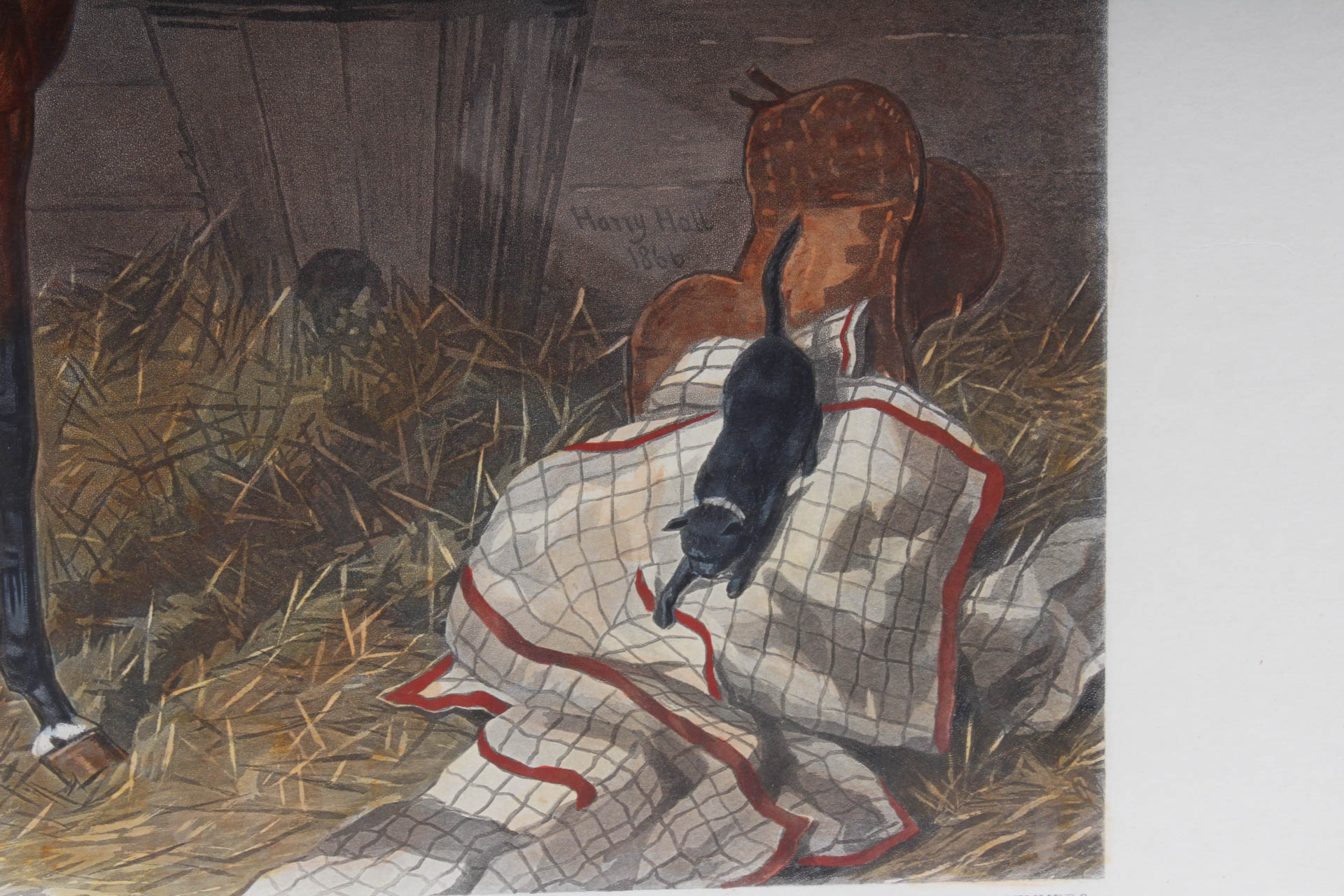 W. Summers Hand-Colored Engraving "Lord Lyon"