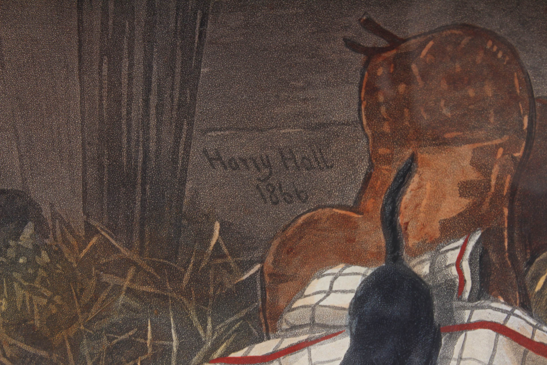 W. Summers Hand-Colored Engraving "Lord Lyon"