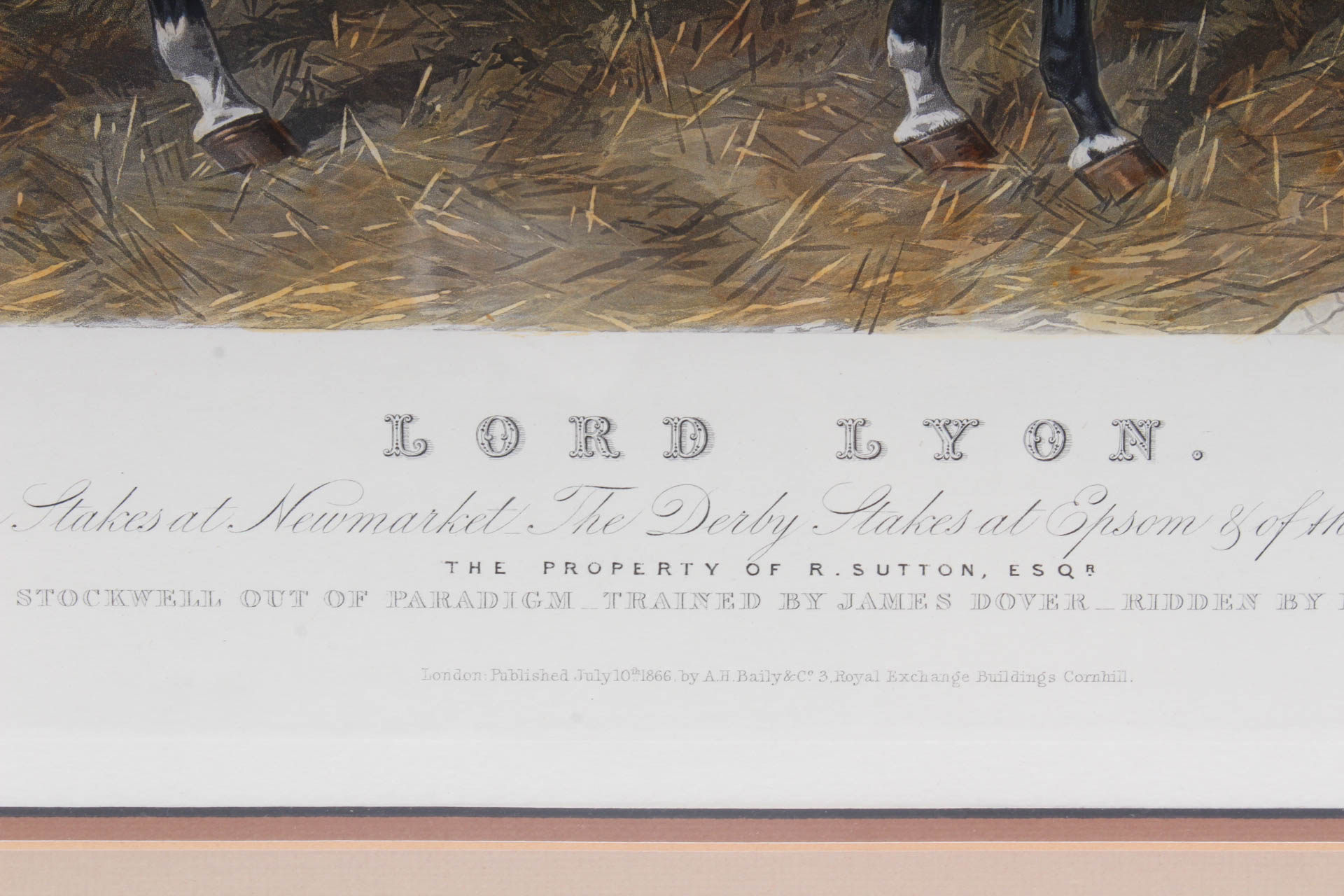 W. Summers Hand-Colored Engraving "Lord Lyon"