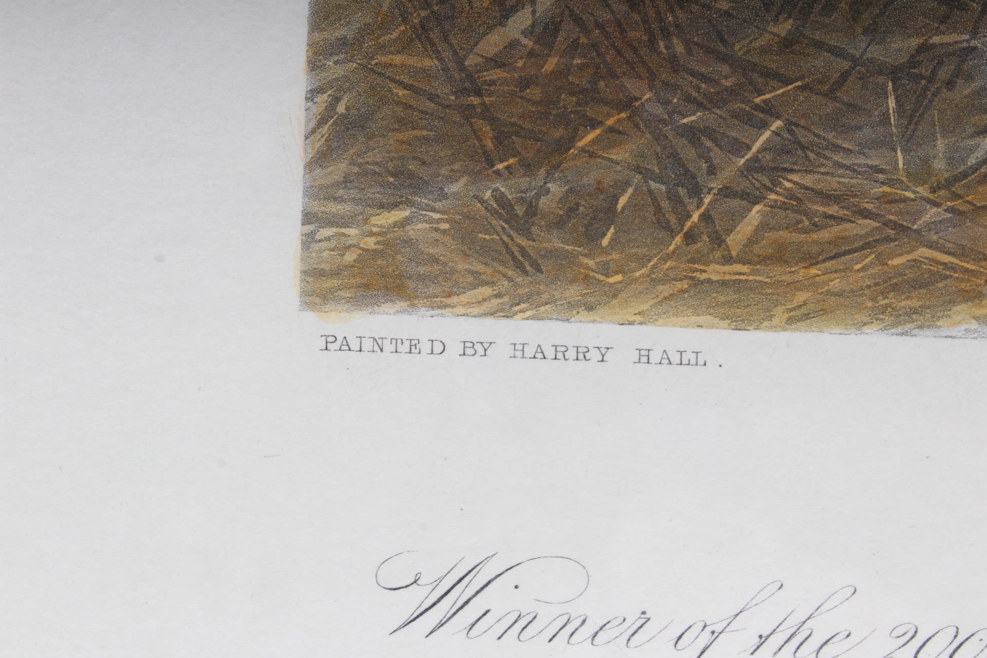 W. Summers Hand-Colored Engraving "Lord Lyon"