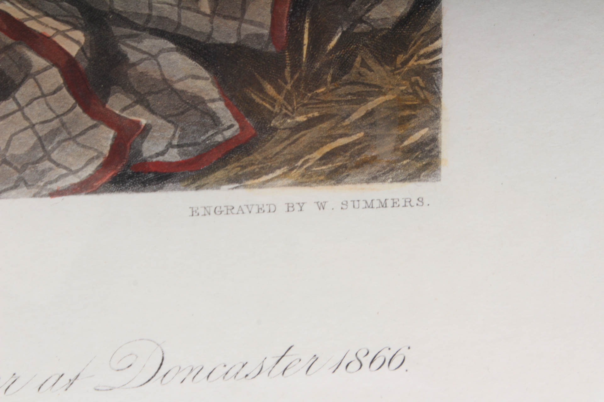 W. Summers Hand-Colored Engraving "Lord Lyon"