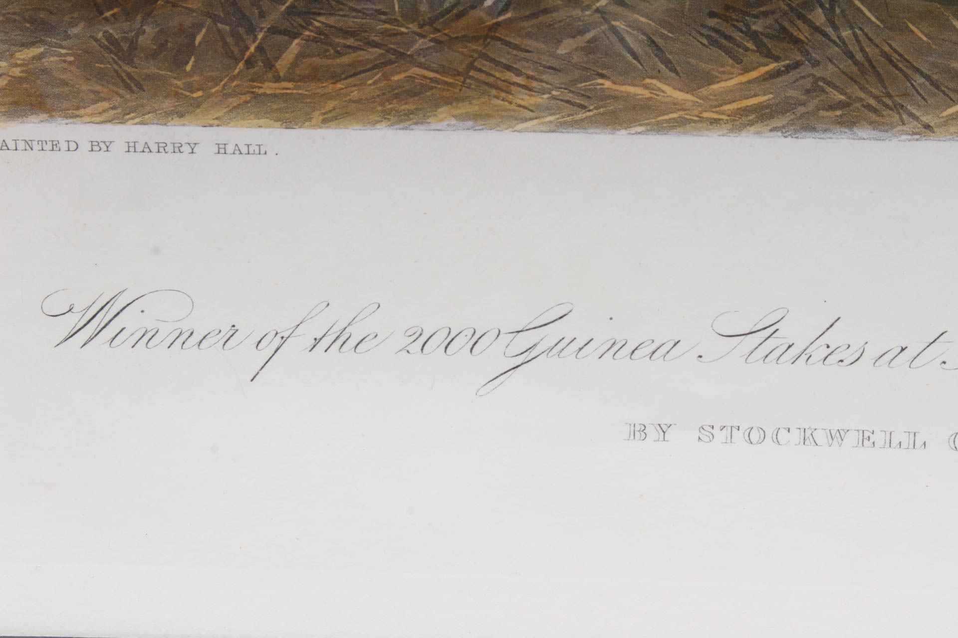 W. Summers Hand-Colored Engraving "Lord Lyon"