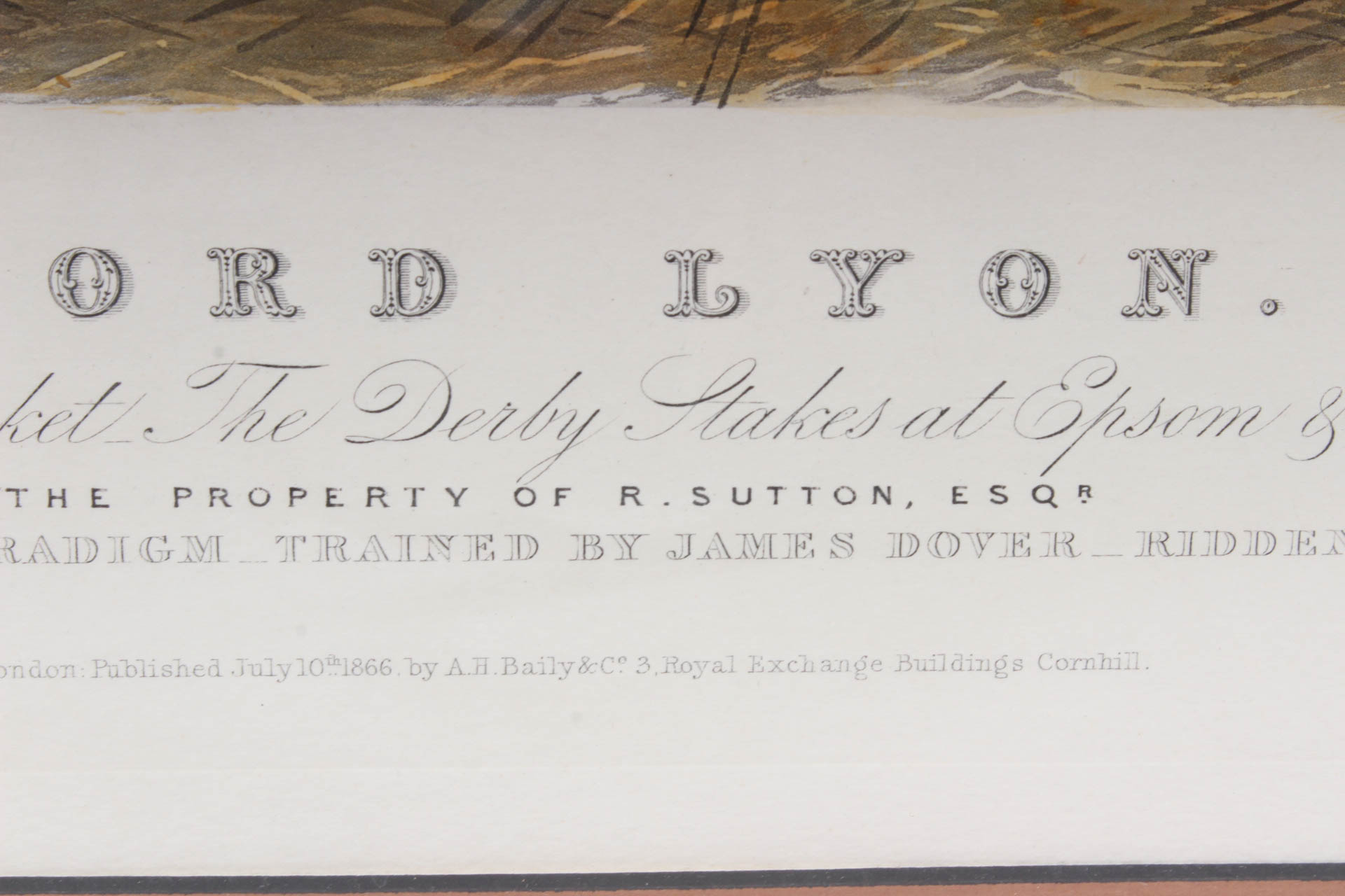 W. Summers Hand-Colored Engraving "Lord Lyon"