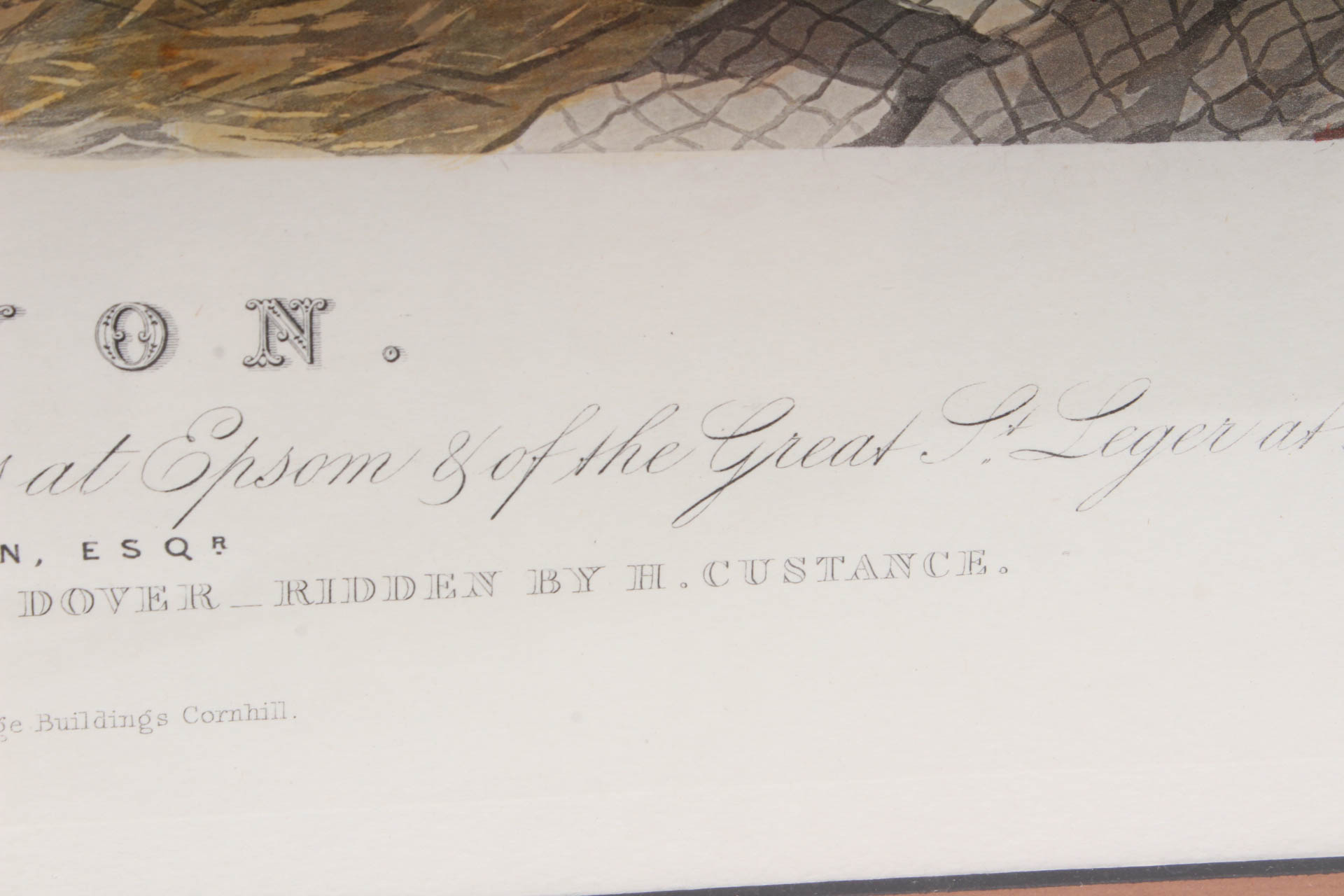 W. Summers Hand-Colored Engraving "Lord Lyon"