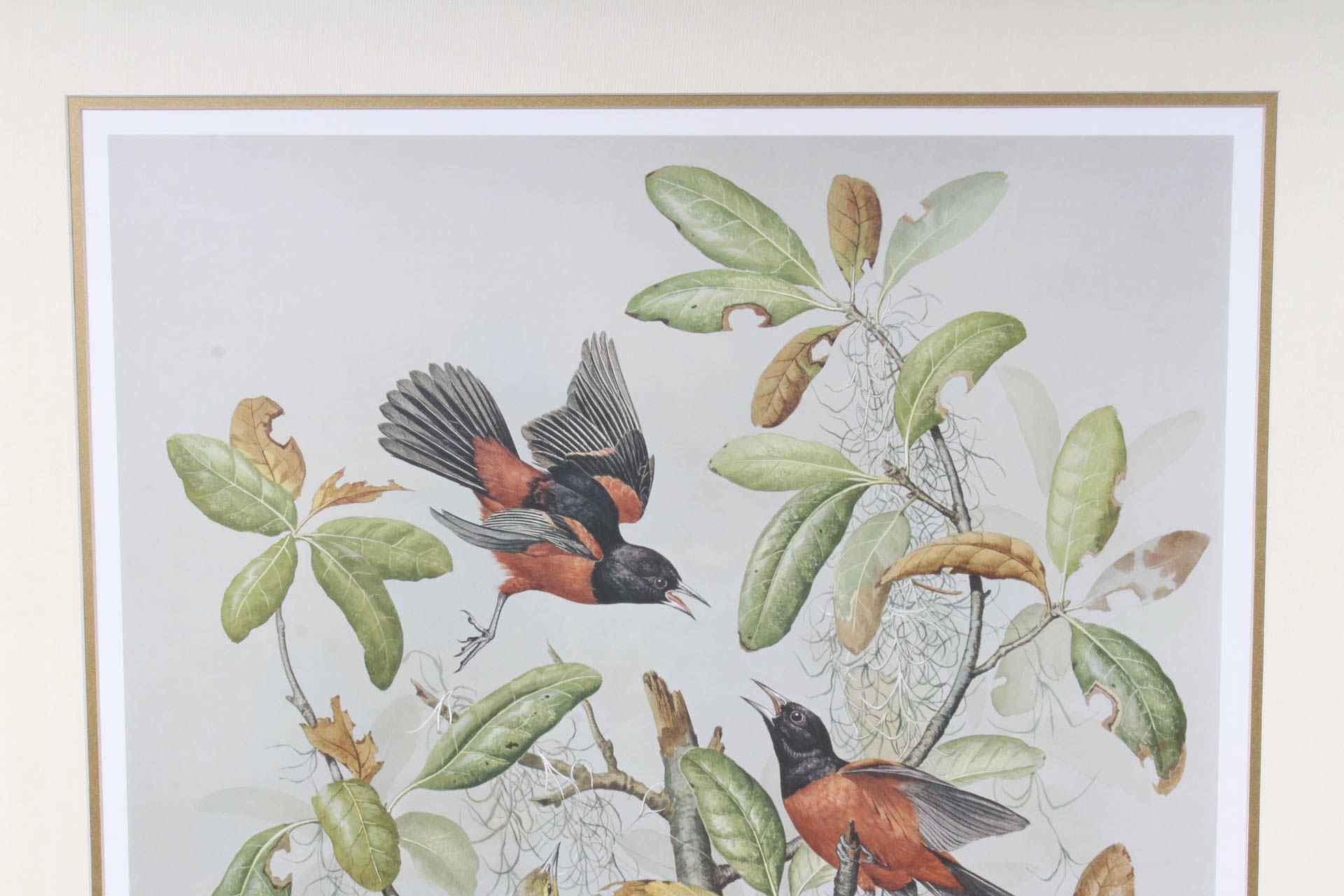 Basil Ede Signed "Orchard Oriole" Offset Lithograph Print