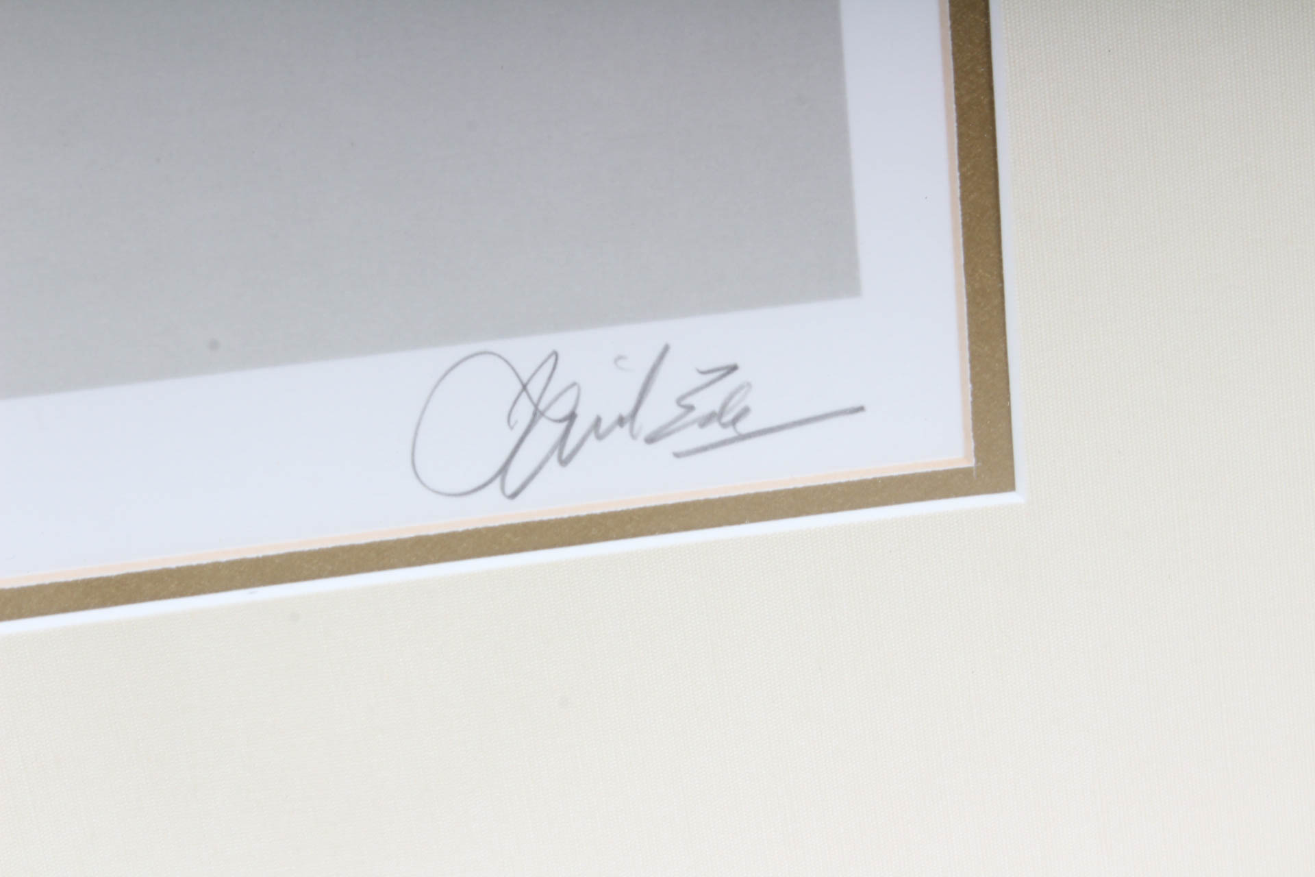 Basil Ede Signed "Orchard Oriole" Offset Lithograph Print