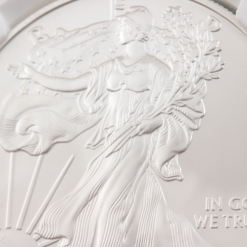 Graded MS 69 (by NGC) Early Release 2013-S Silver Eagle Dollar