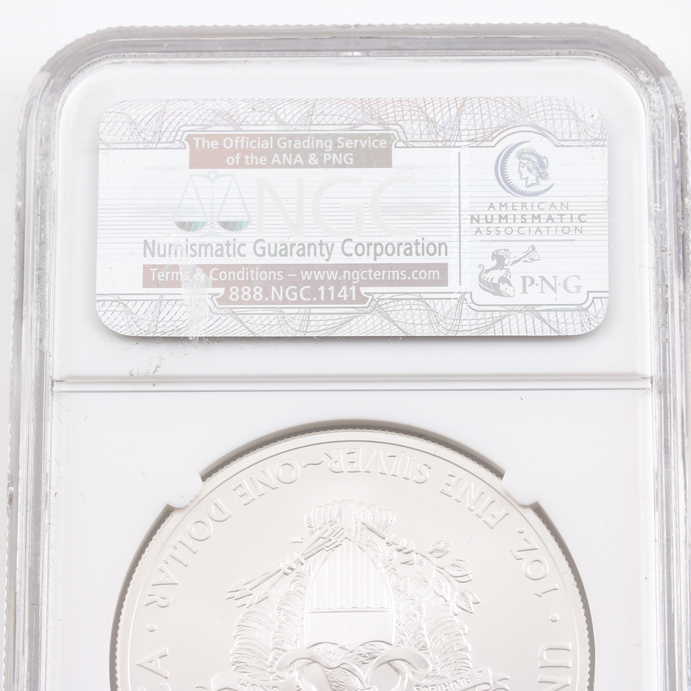 Graded MS 69 (by NGC) Early Release 2013-S Silver Eagle Dollar