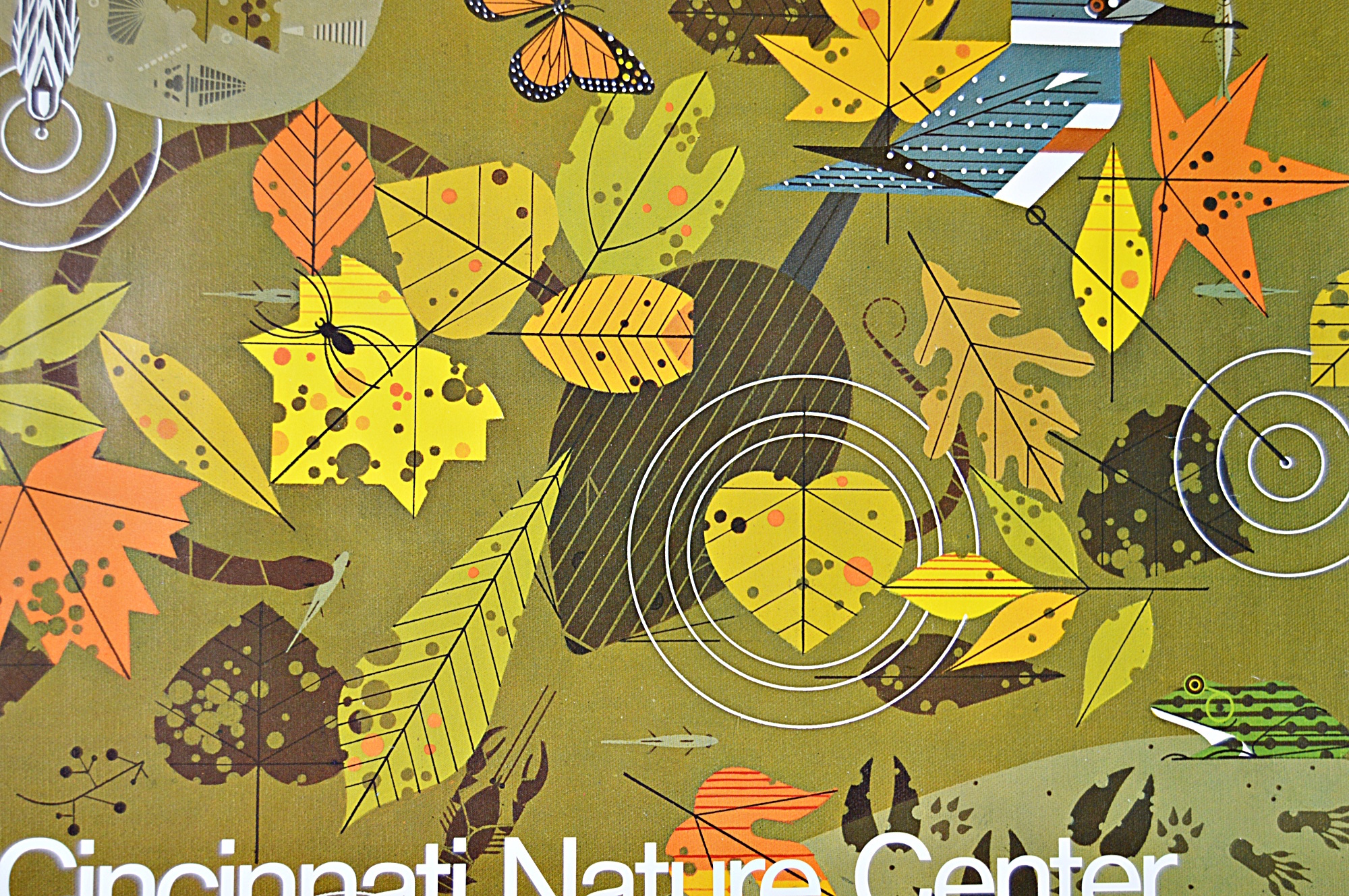 Charley Harper Nature Center Poster Series