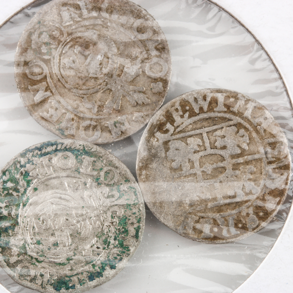 Group of (3) 1624 Polish 3 Polker Coins