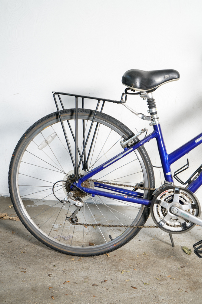 Trek "Multitrack" Women's Hybrid Bicycle