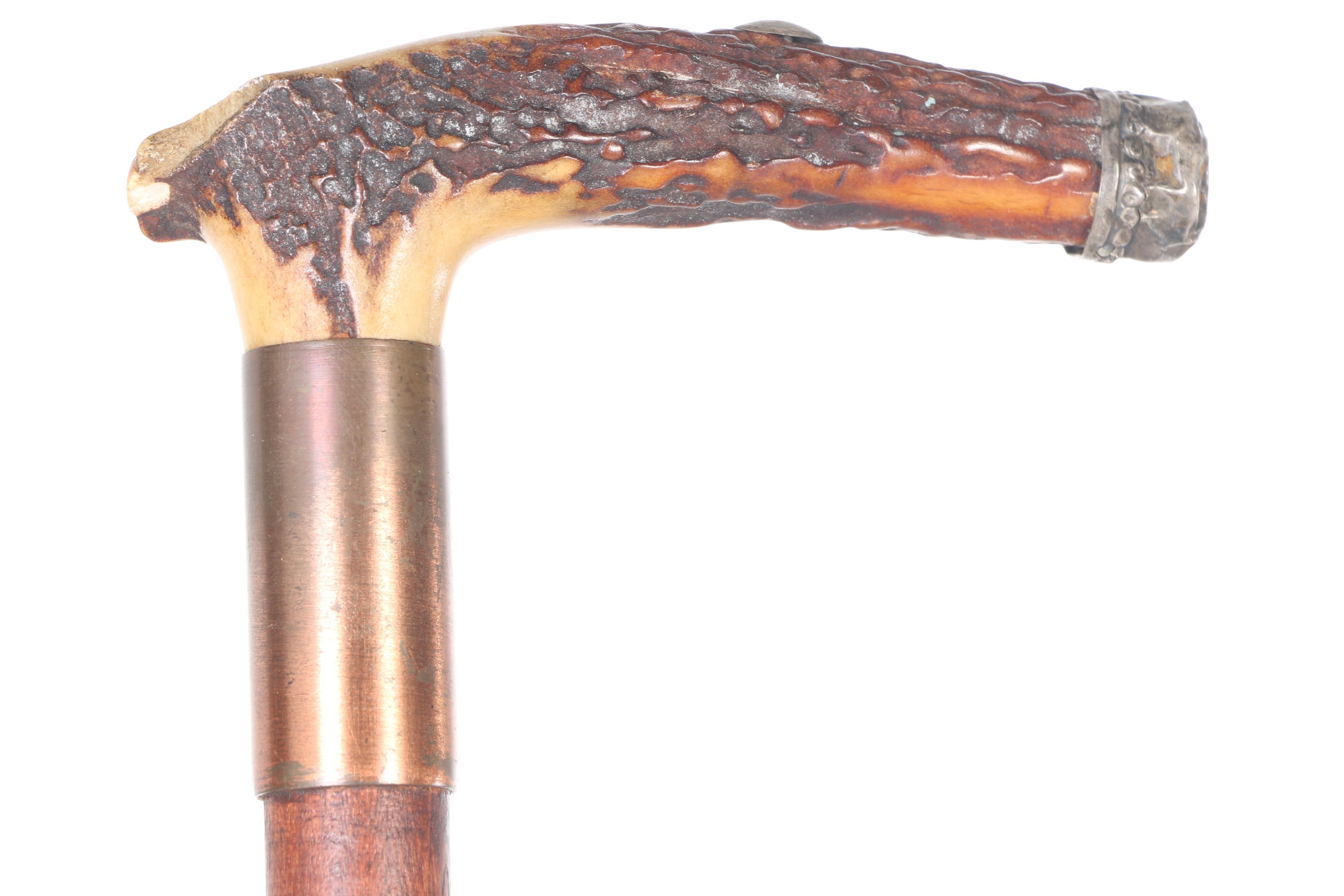 Vintage Walking Canes