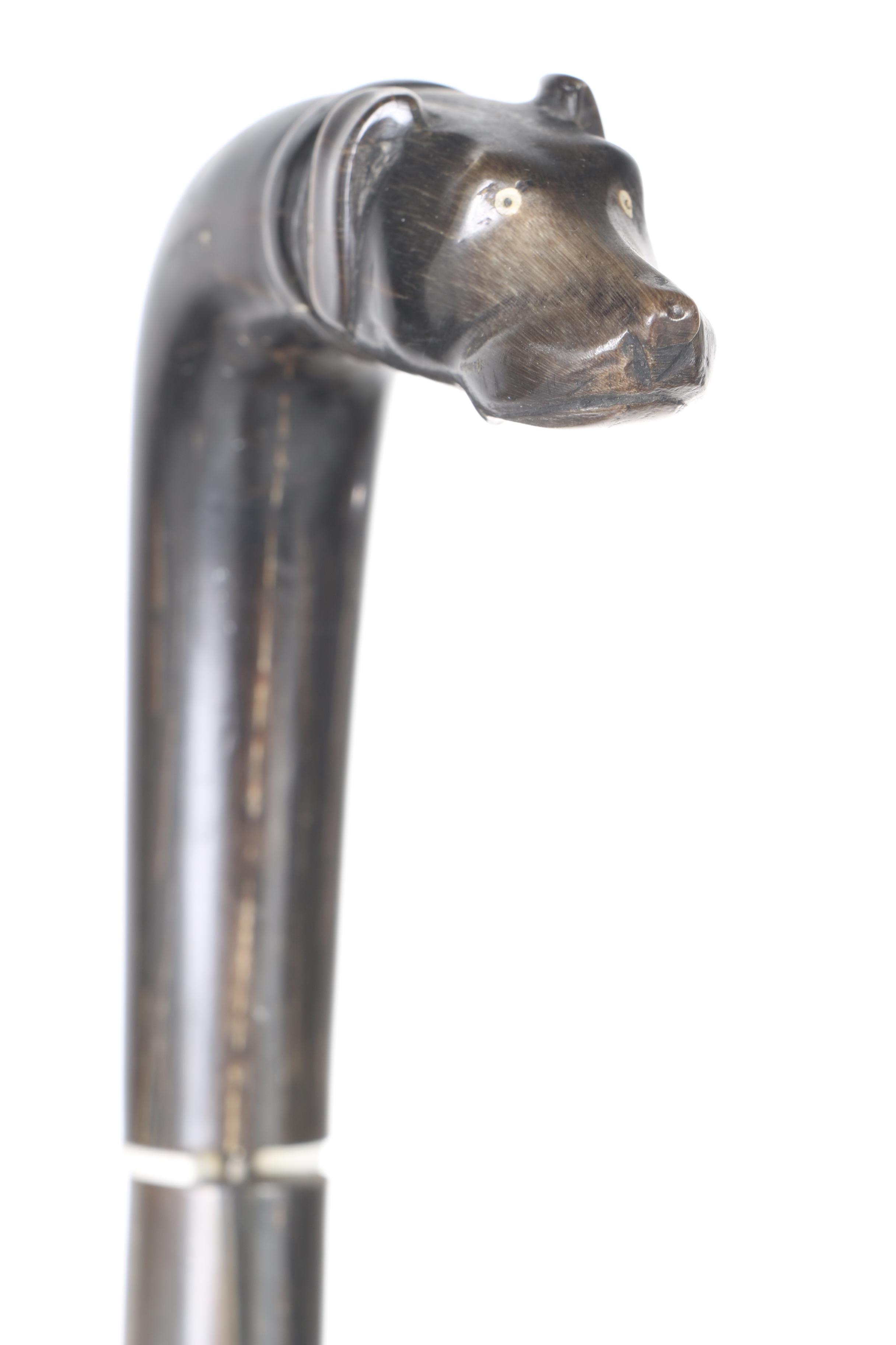 Vintage Walking Canes