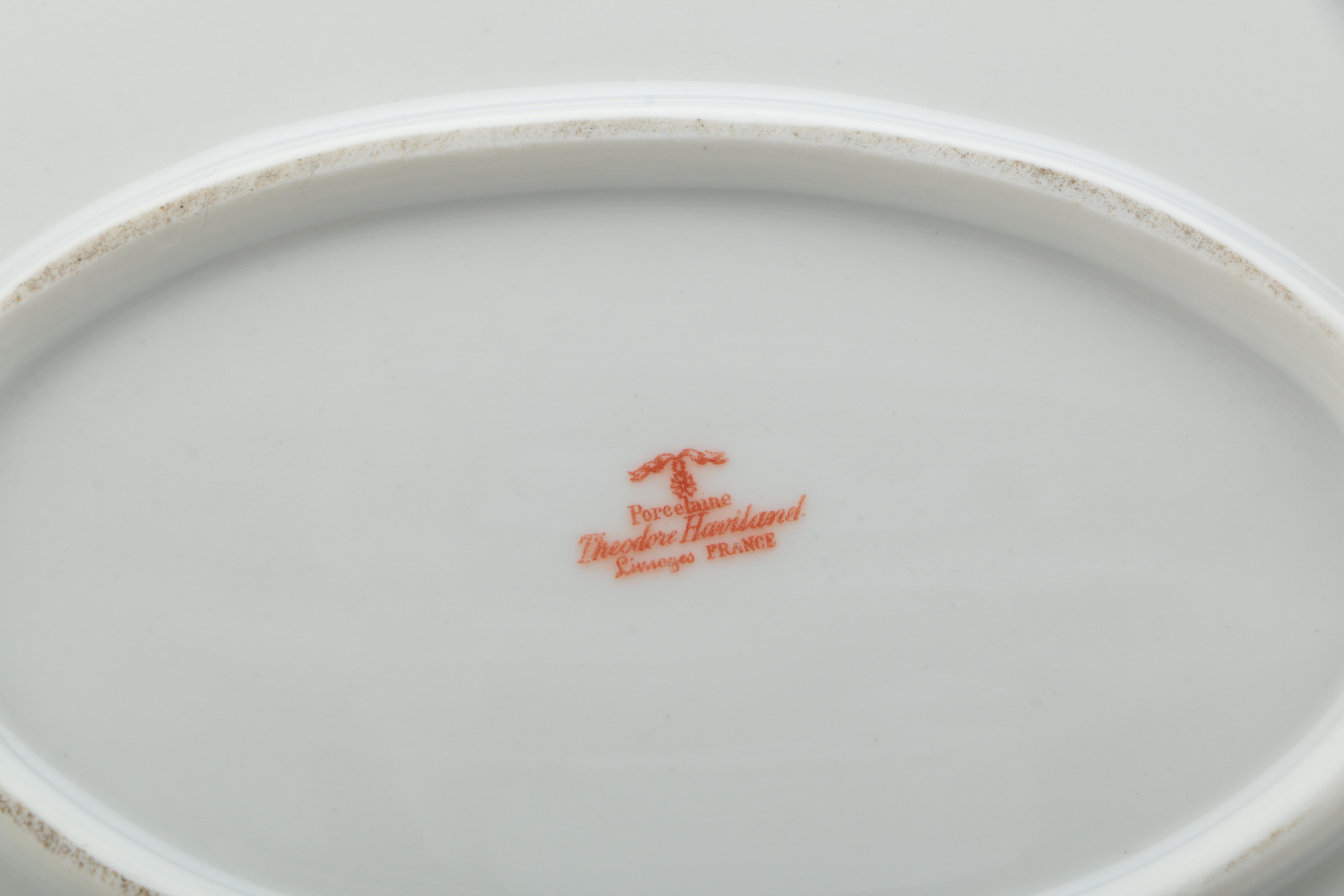 Haviland Limoges Porcelain Dinner Set