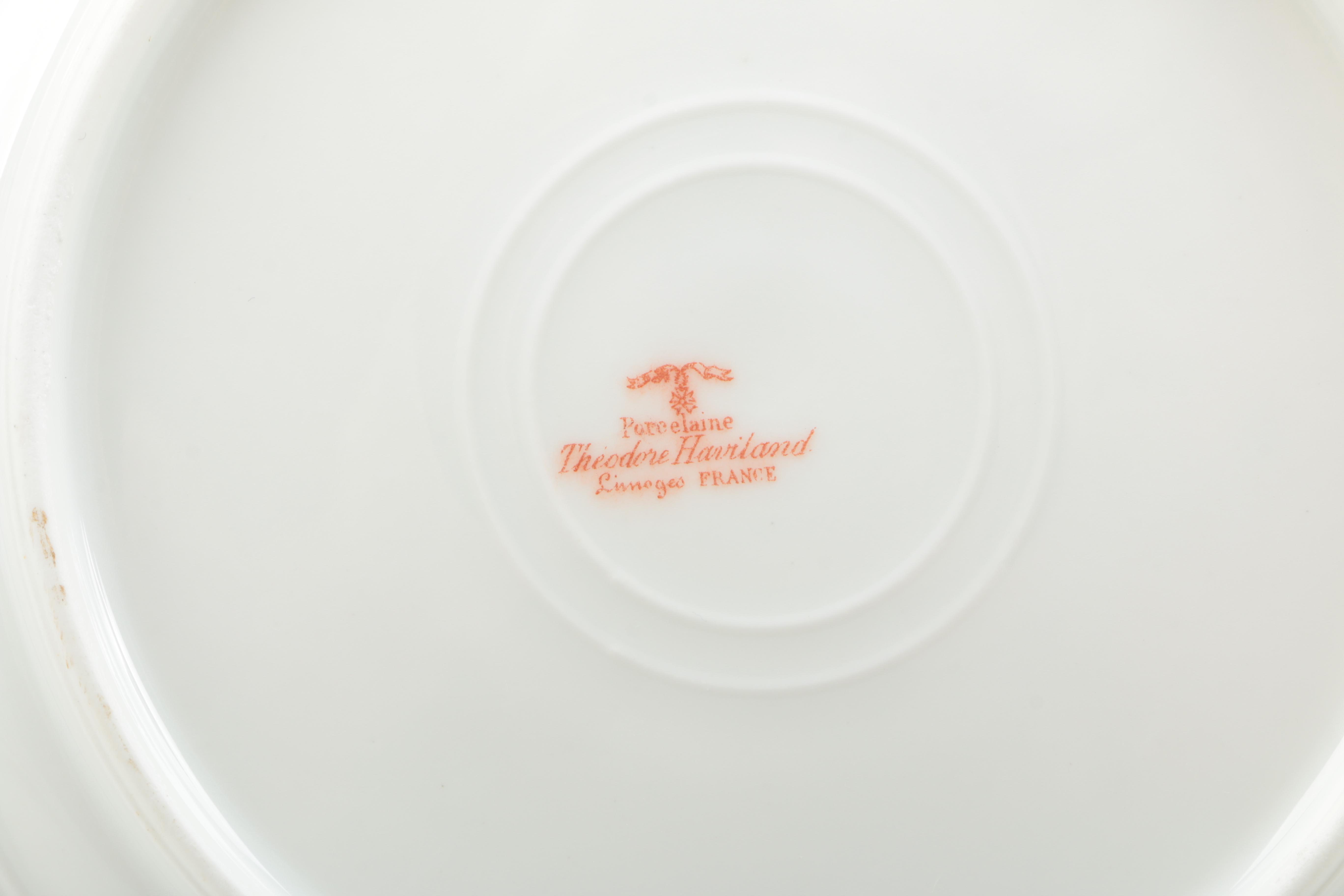 Haviland Limoges Porcelain Dinner Set
