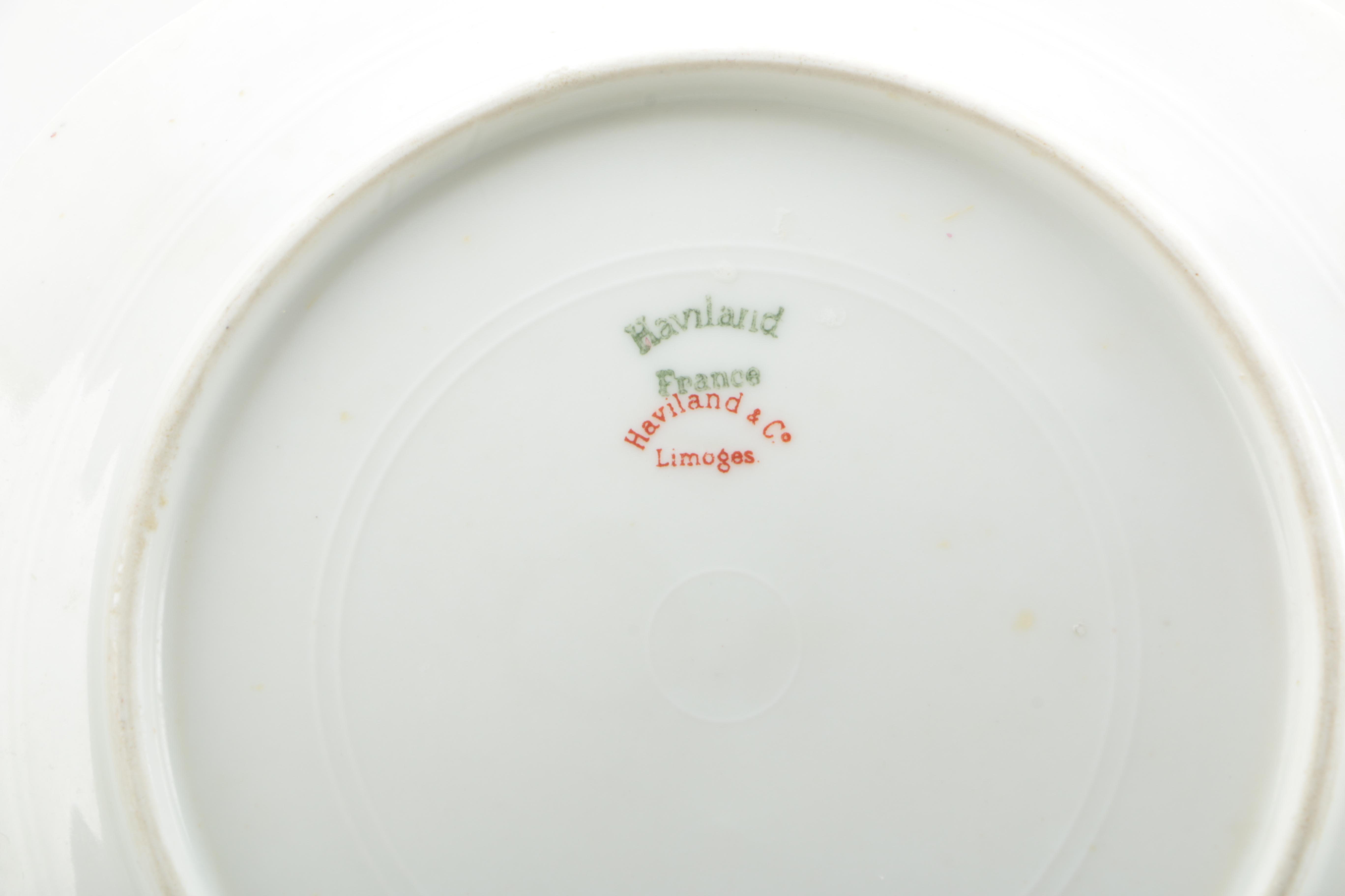 Haviland Limoges Porcelain Dinner Set