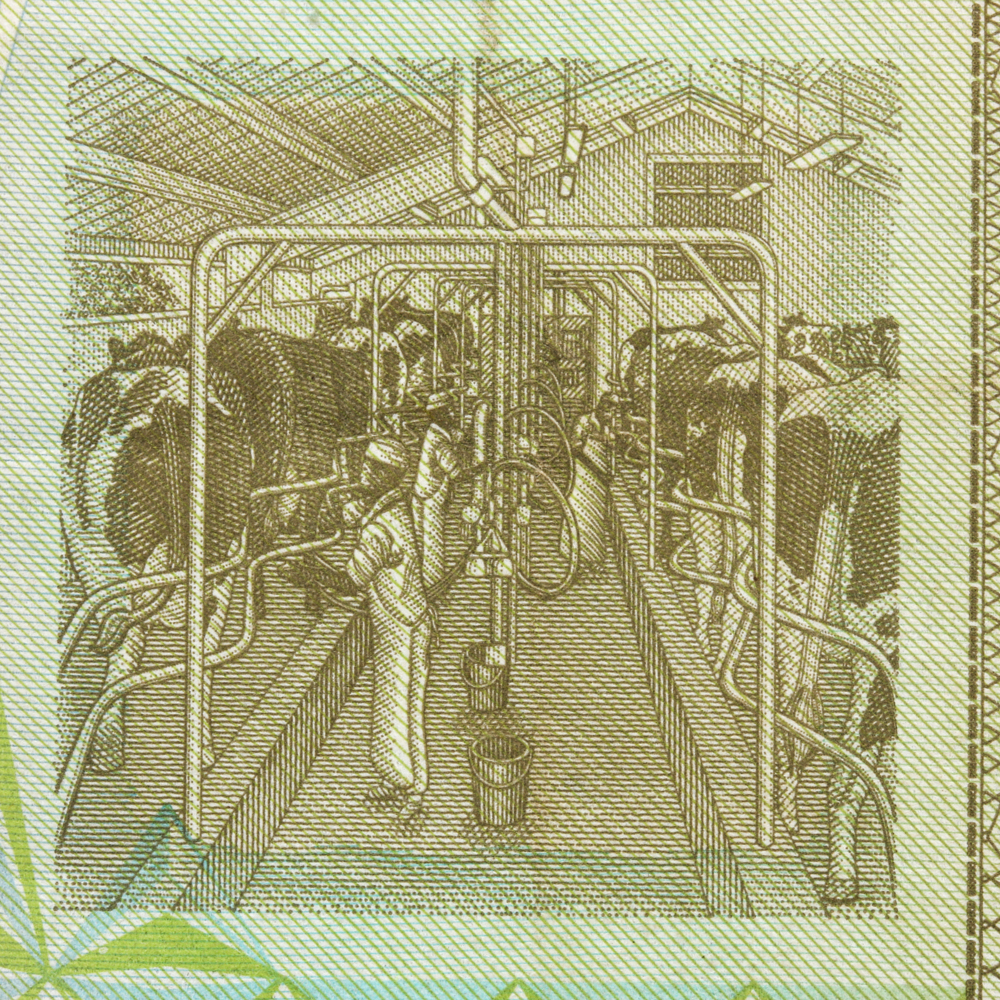 Group of (4) 2008 $500000 Reserve Bank of Zimbabwe Banknotes