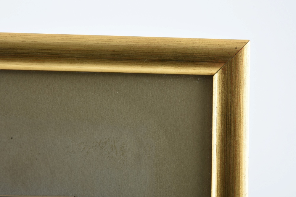 Edo Period Japanese Woodblock on Paper of a Garden