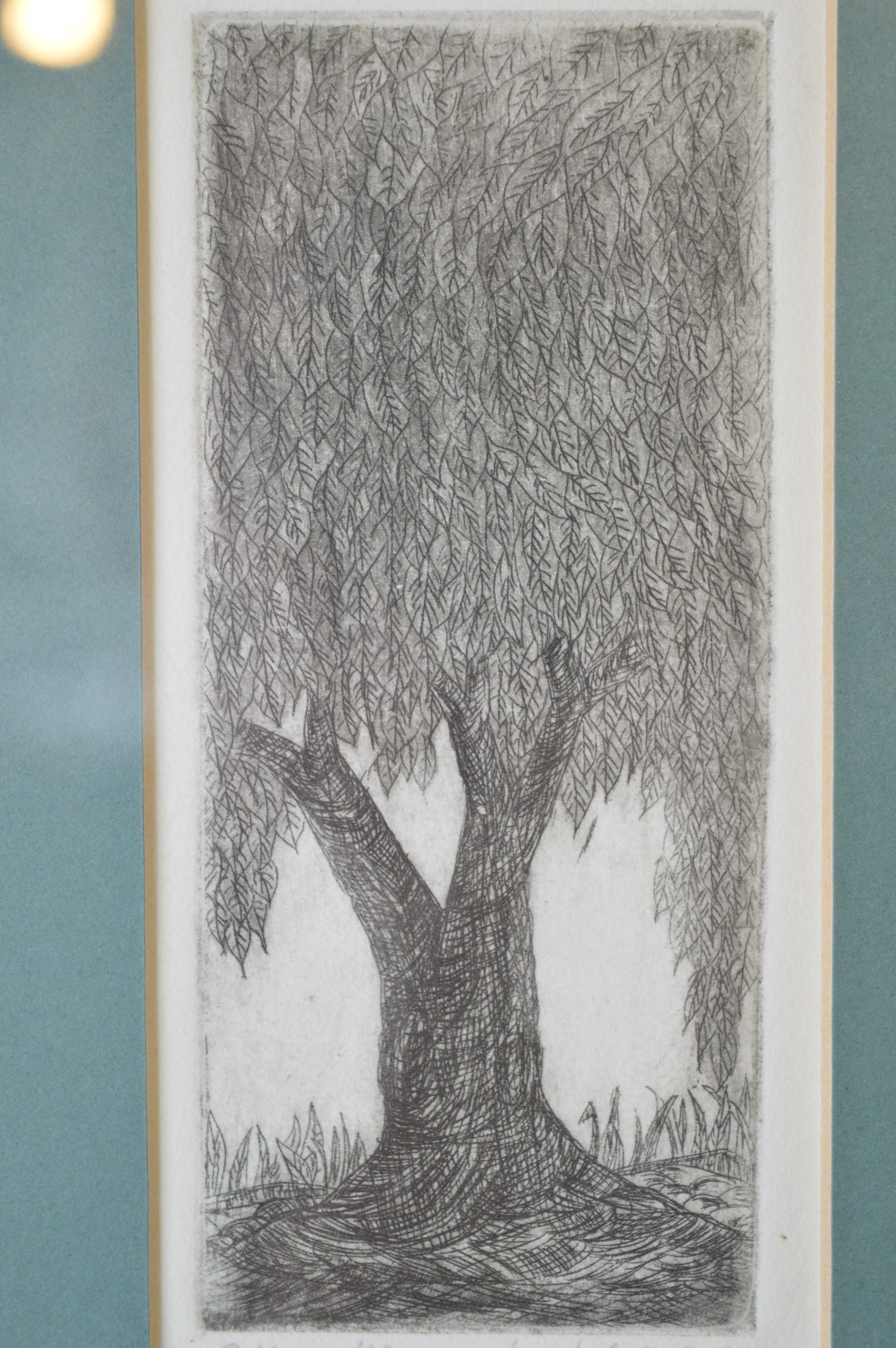 Mary Lou Hess Artist's Proof Etching on Paper of Weeping Tree