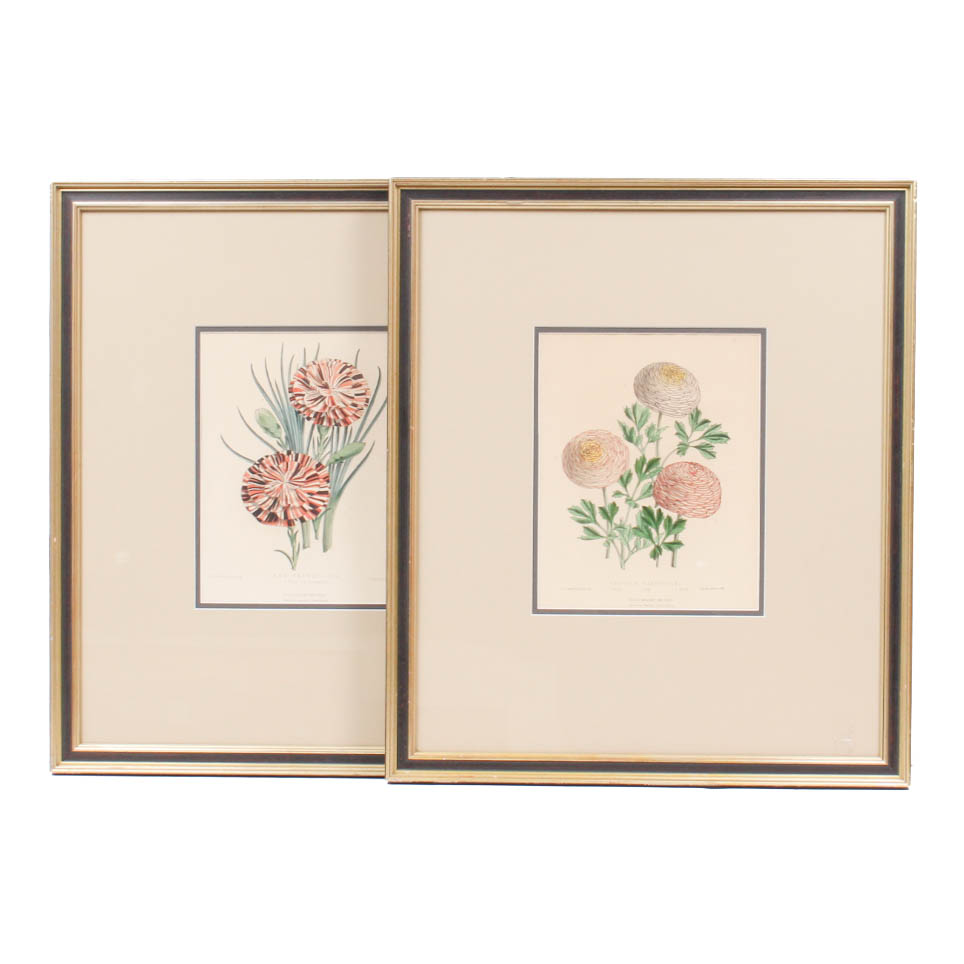 Pair of Hand-Colored Botanical Lithograph