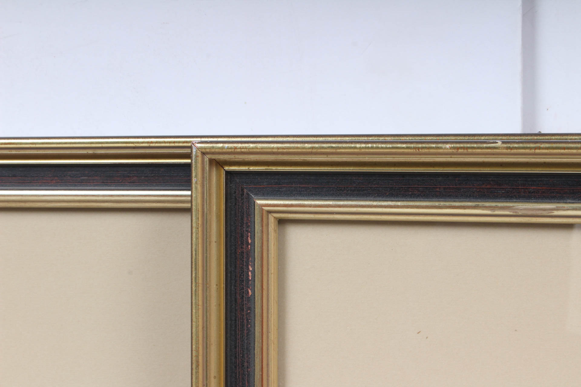 Pair of Hand-Colored Botanical Lithograph