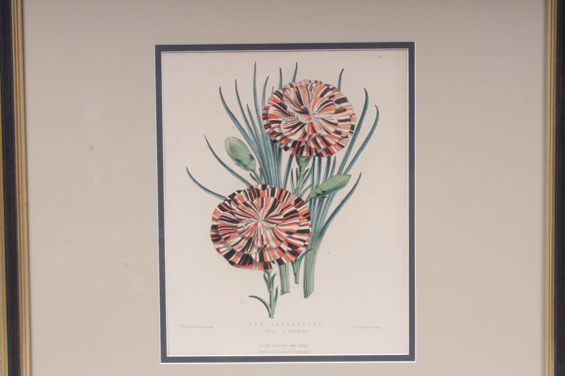 Pair of Hand-Colored Botanical Lithograph