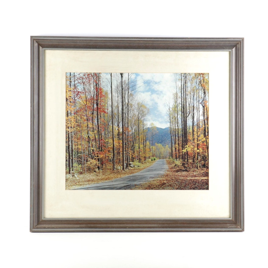 Framed Offset Lithograph on Paper of a Mountain Path